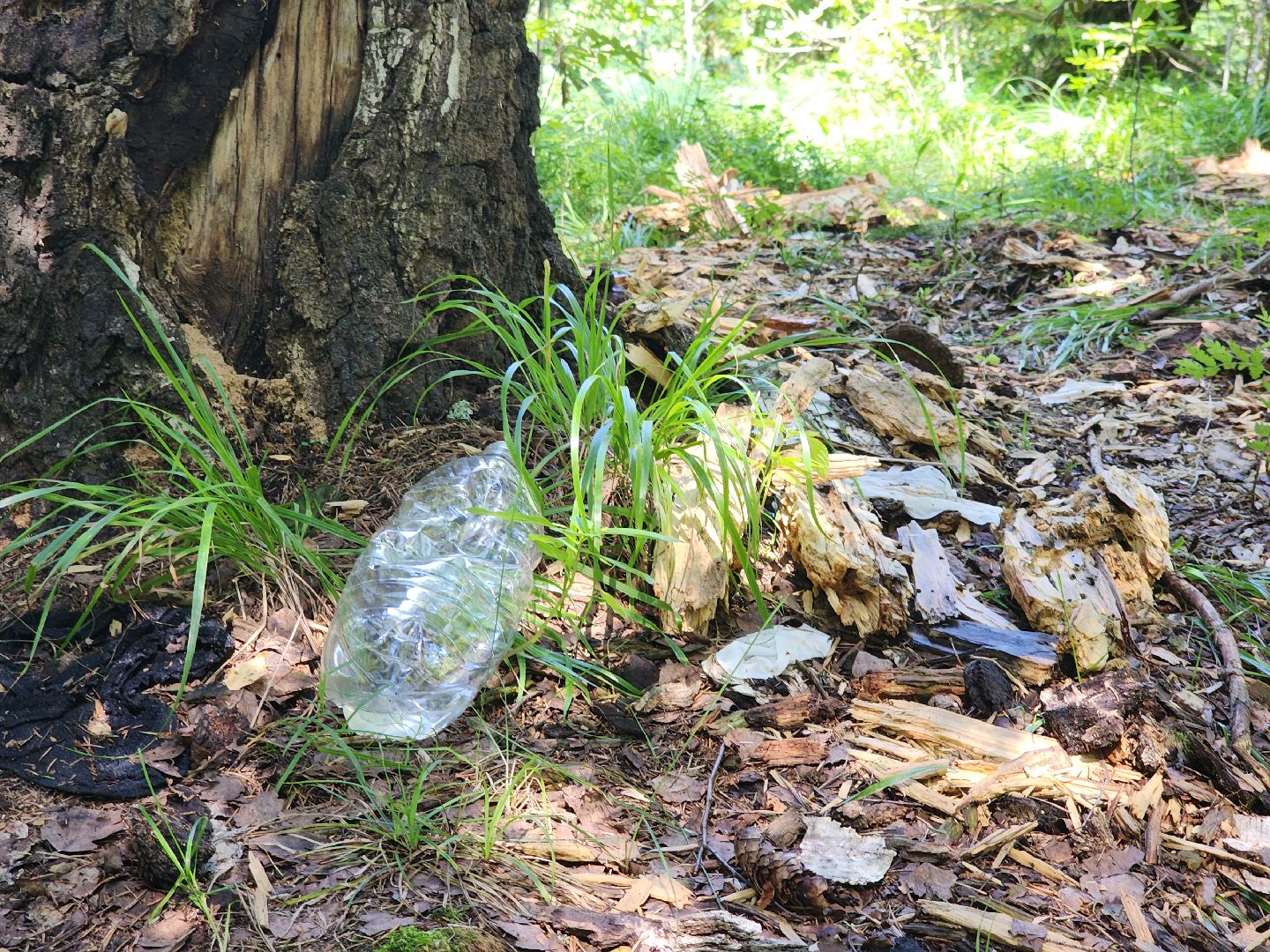 черноголовка, Северное озеро, экология, мусор,