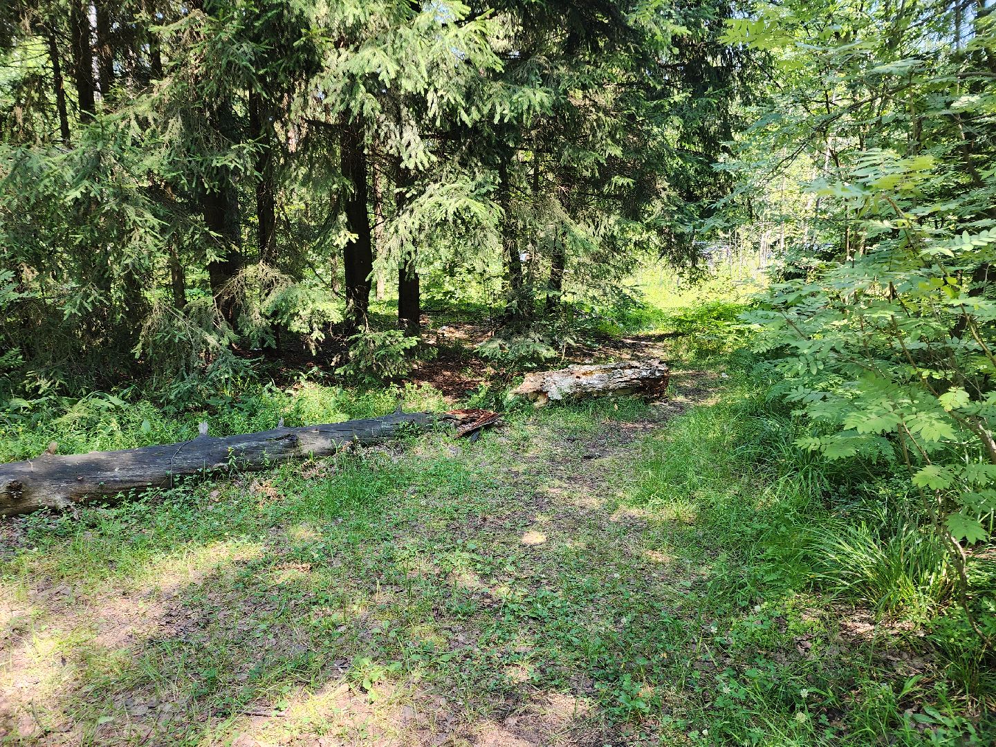 черноголовка, Северное озеро, экология, мусор,