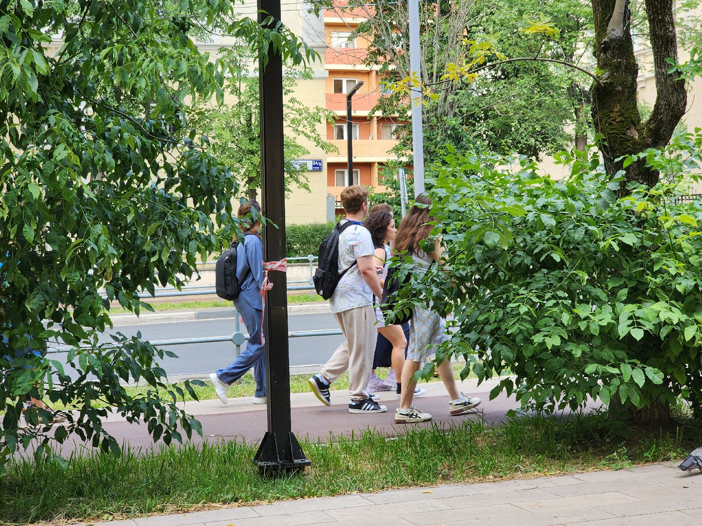 долгопрудный, мфти, Летние олимпиадные школы, школьники, лагерь, викторина,