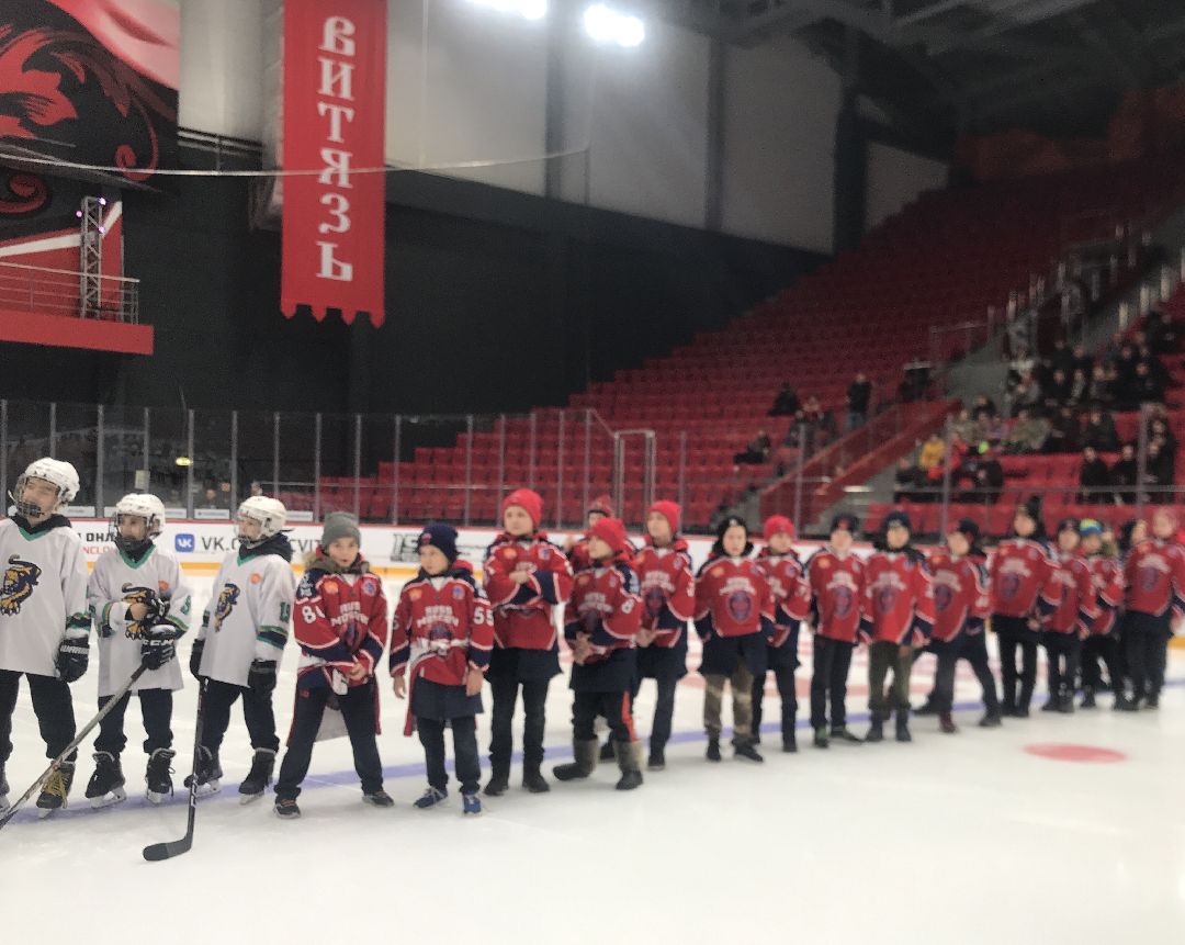 Балашиха, общество