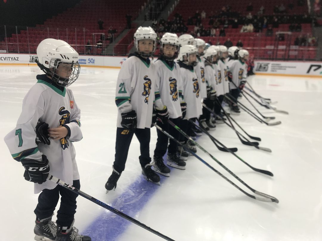 Балашиха, общество