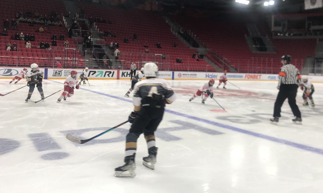 Балашиха, общество