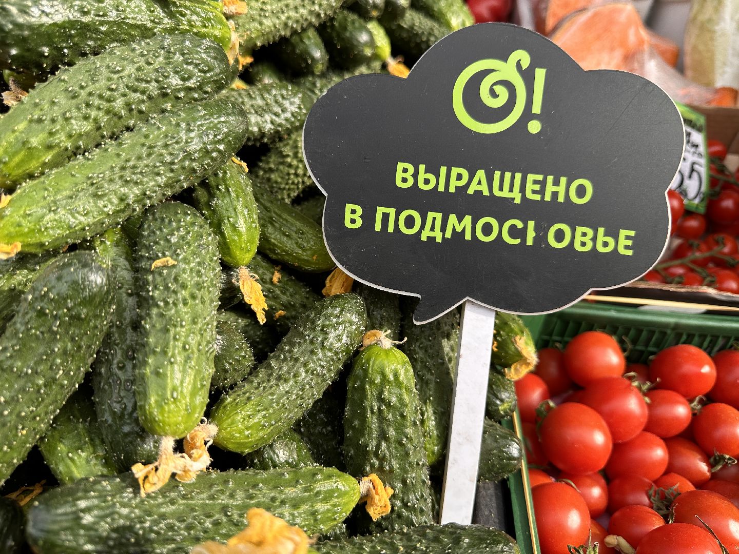 Одинцово, Бизнес, Экономика, Ветконтроль