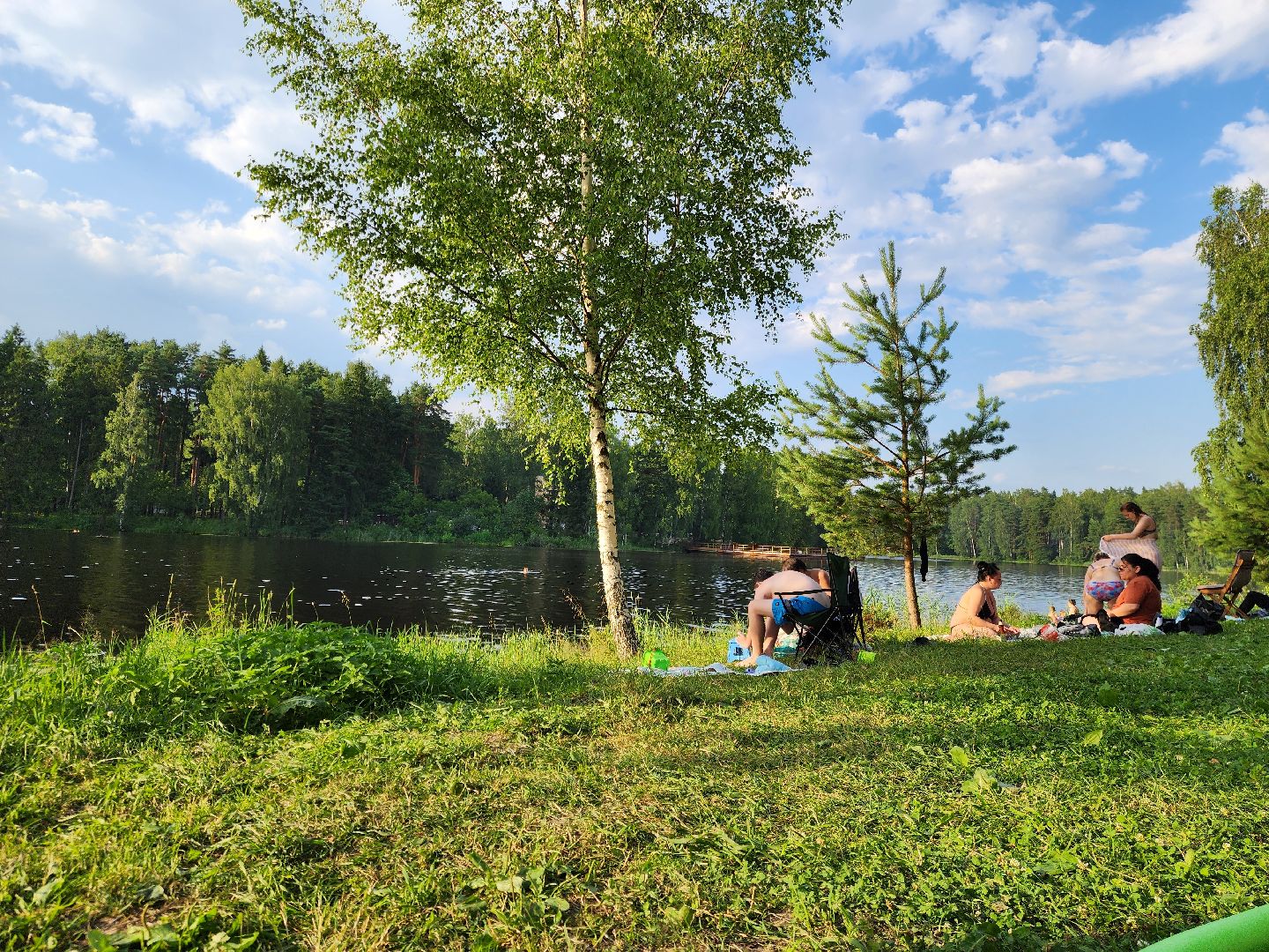 ногинск, луковое озеро, богородский округ, жители, общество, жара, лето, купальный сезон, купание,
