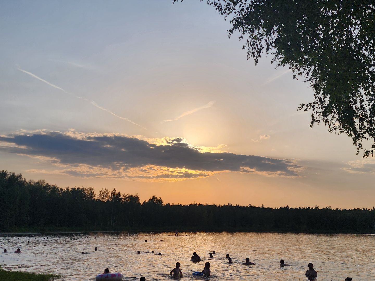 ногинск, луковое озеро, богородский округ, жители, общество, жара, лето, купальный сезон, купание,