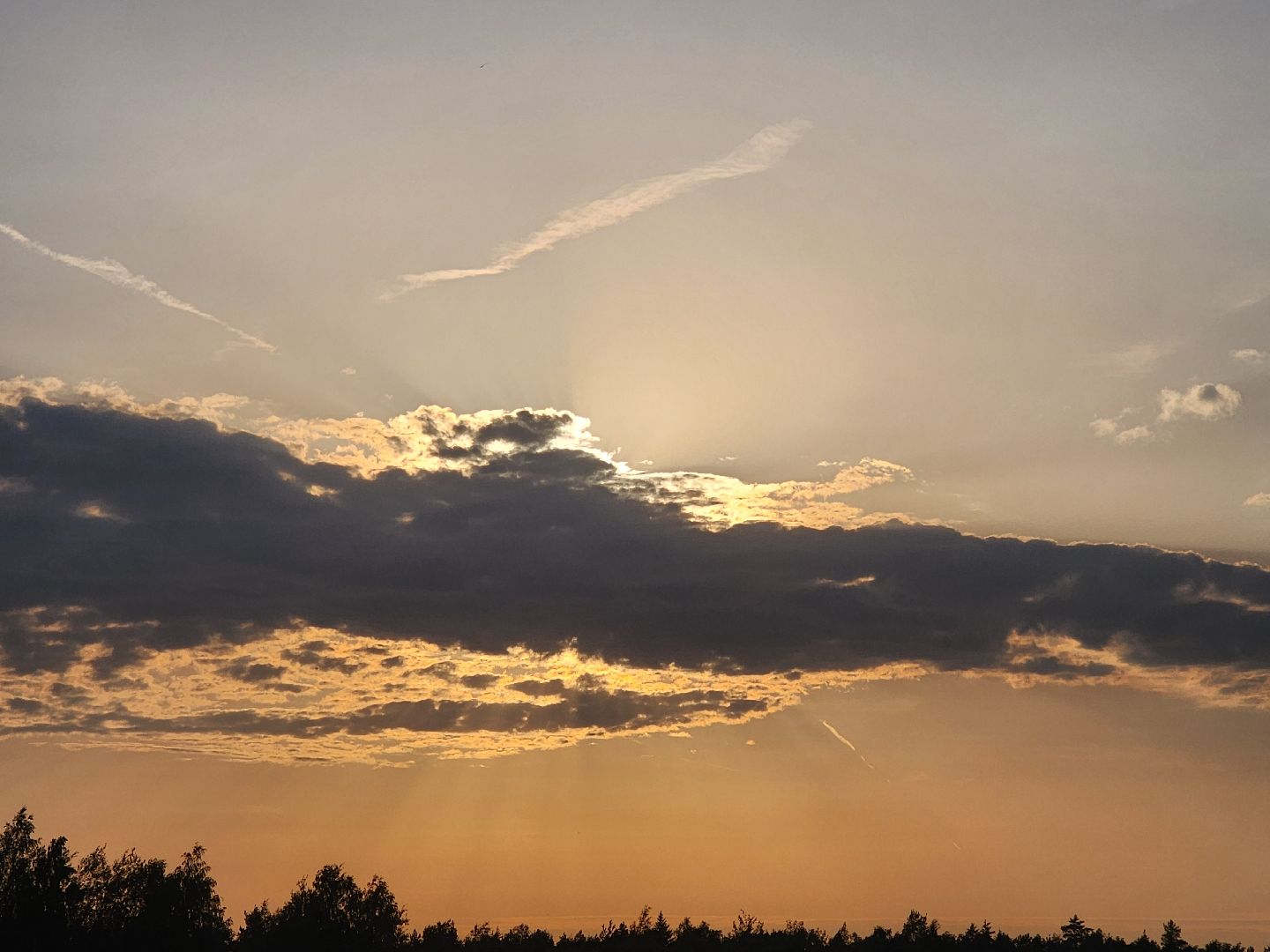 ногинск, луковое озеро, богородский округ, жители, общество, жара, лето, купальный сезон, купание,