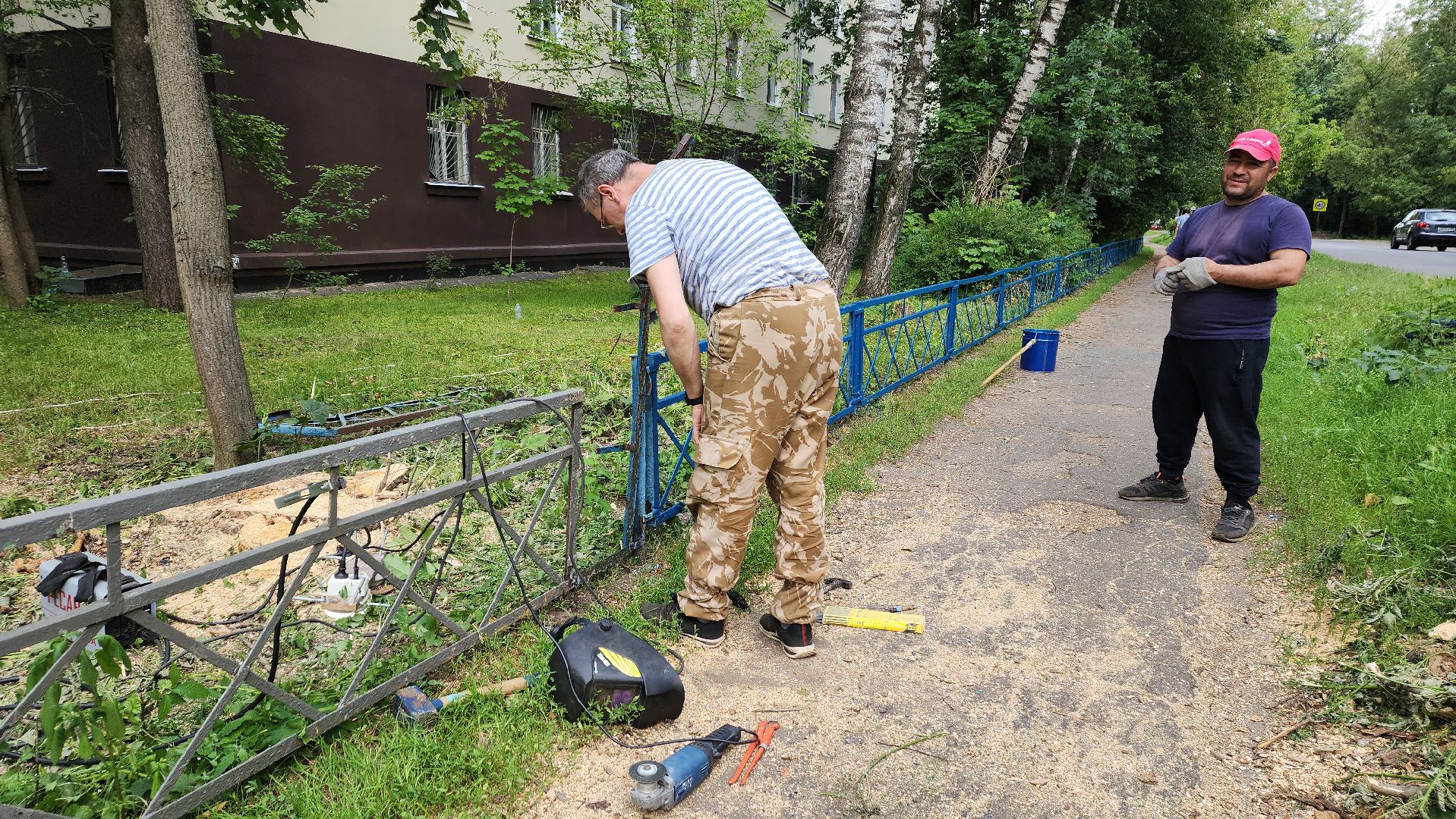 пушкино, благоустройство, дворовые территории, аварийность, деревья, ограждение,