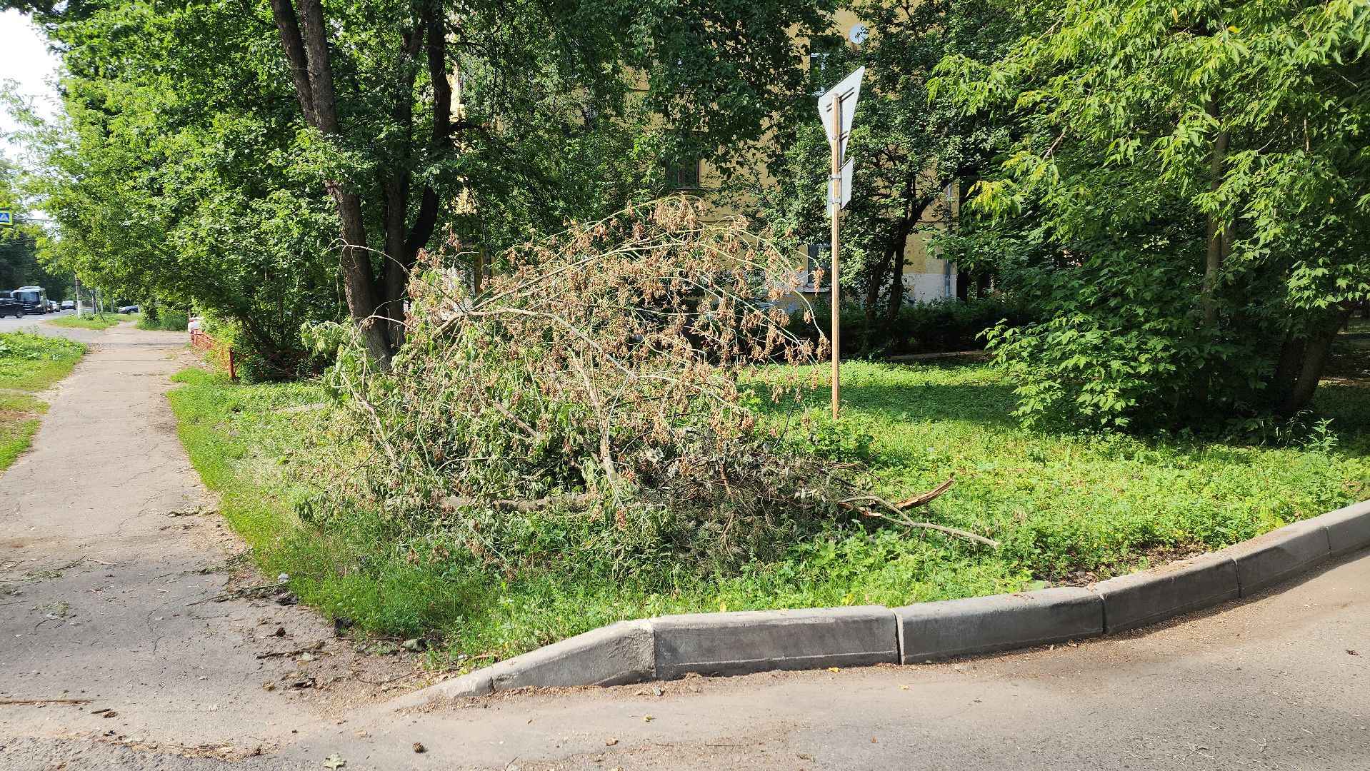 пушкино, благоустройство, дворовые территории, аварийность, деревья, ограждение,
