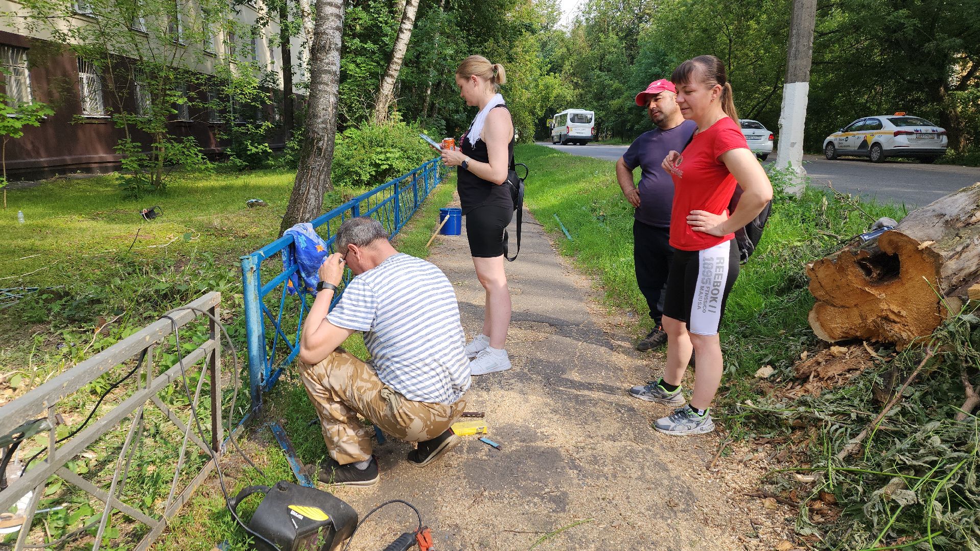 пушкино, благоустройство, дворовые территории, аварийность, деревья, ограждение,