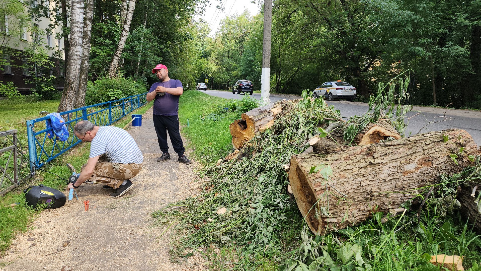 пушкино, благоустройство, дворовые территории, аварийность, деревья, ограждение,