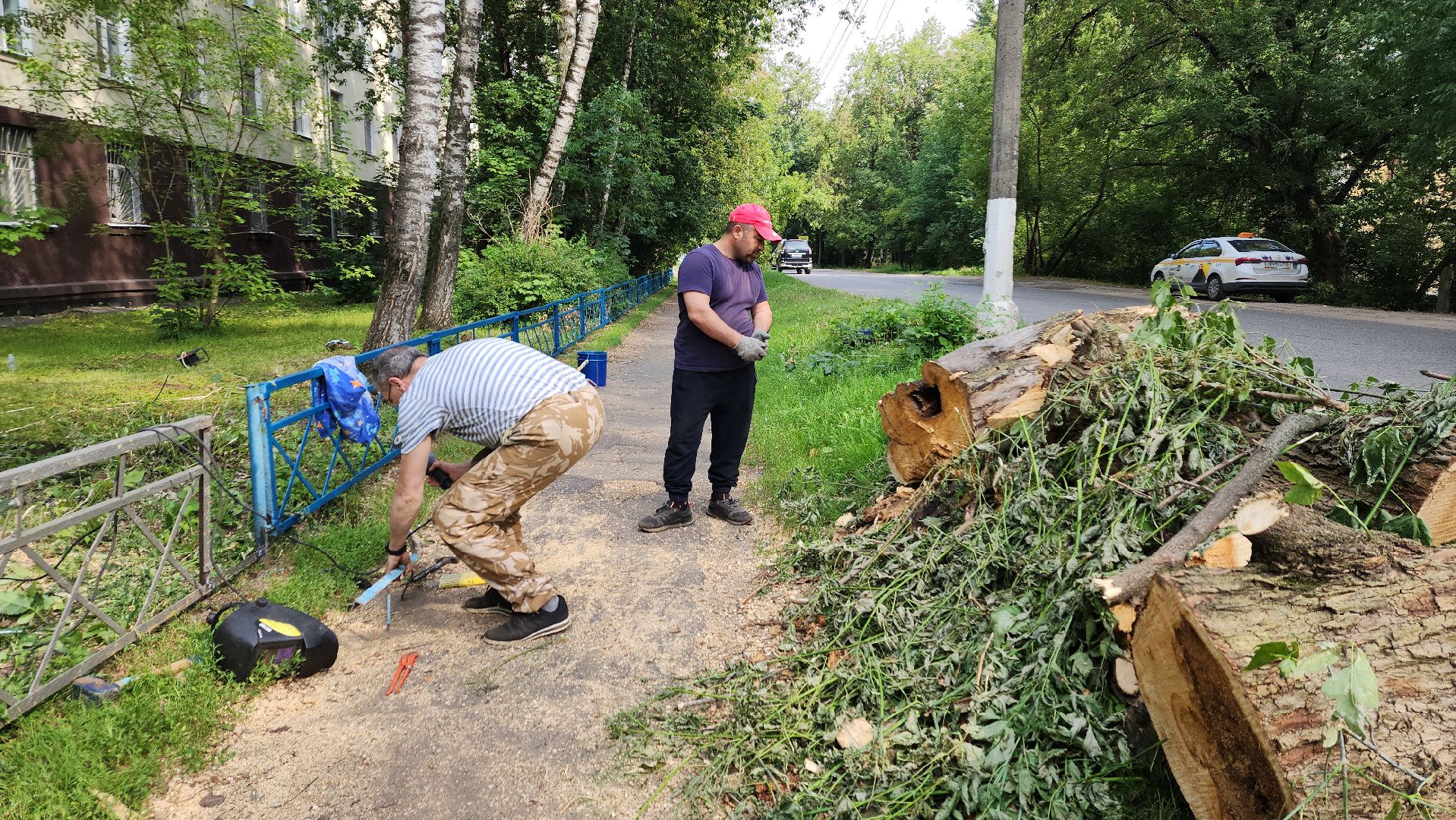 пушкино, благоустройство, дворовые территории, аварийность, деревья, ограждение,