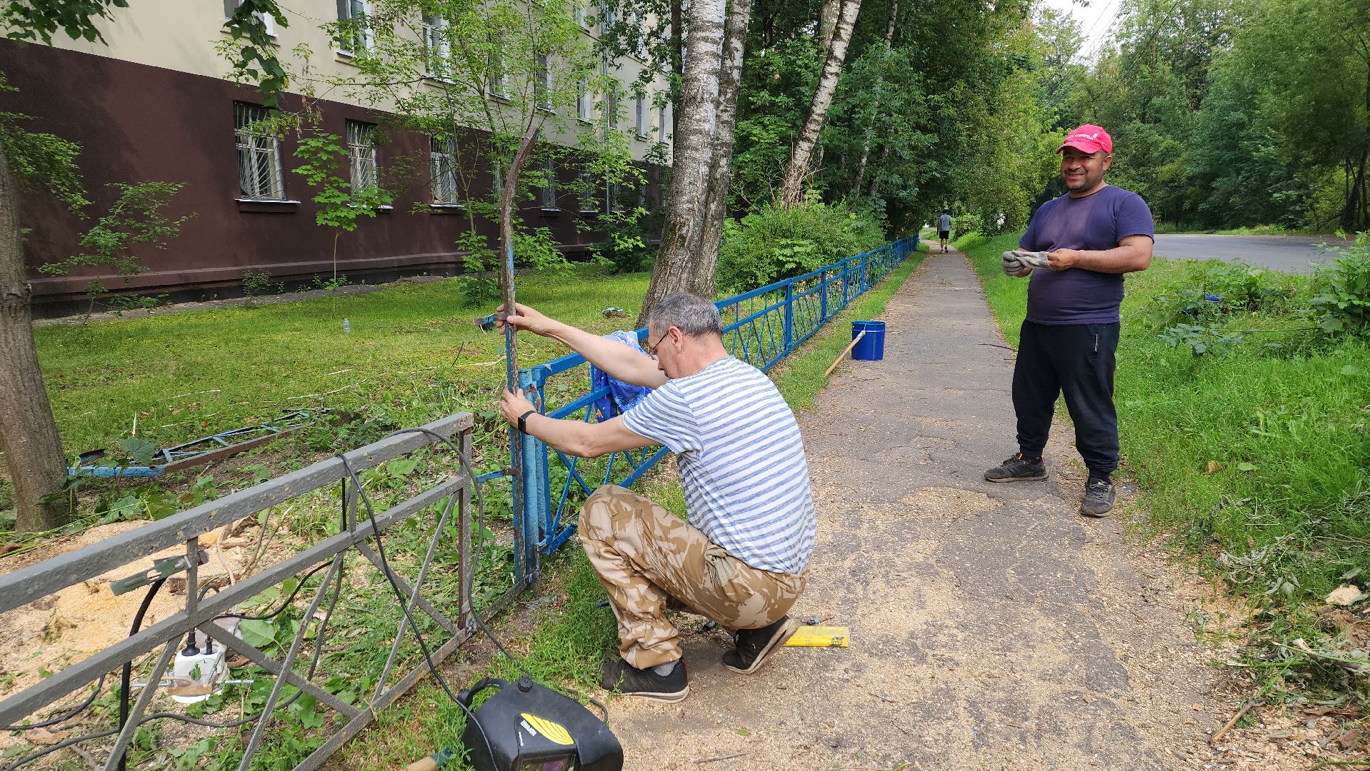 пушкино, благоустройство, дворовые территории, аварийность, деревья, ограждение,