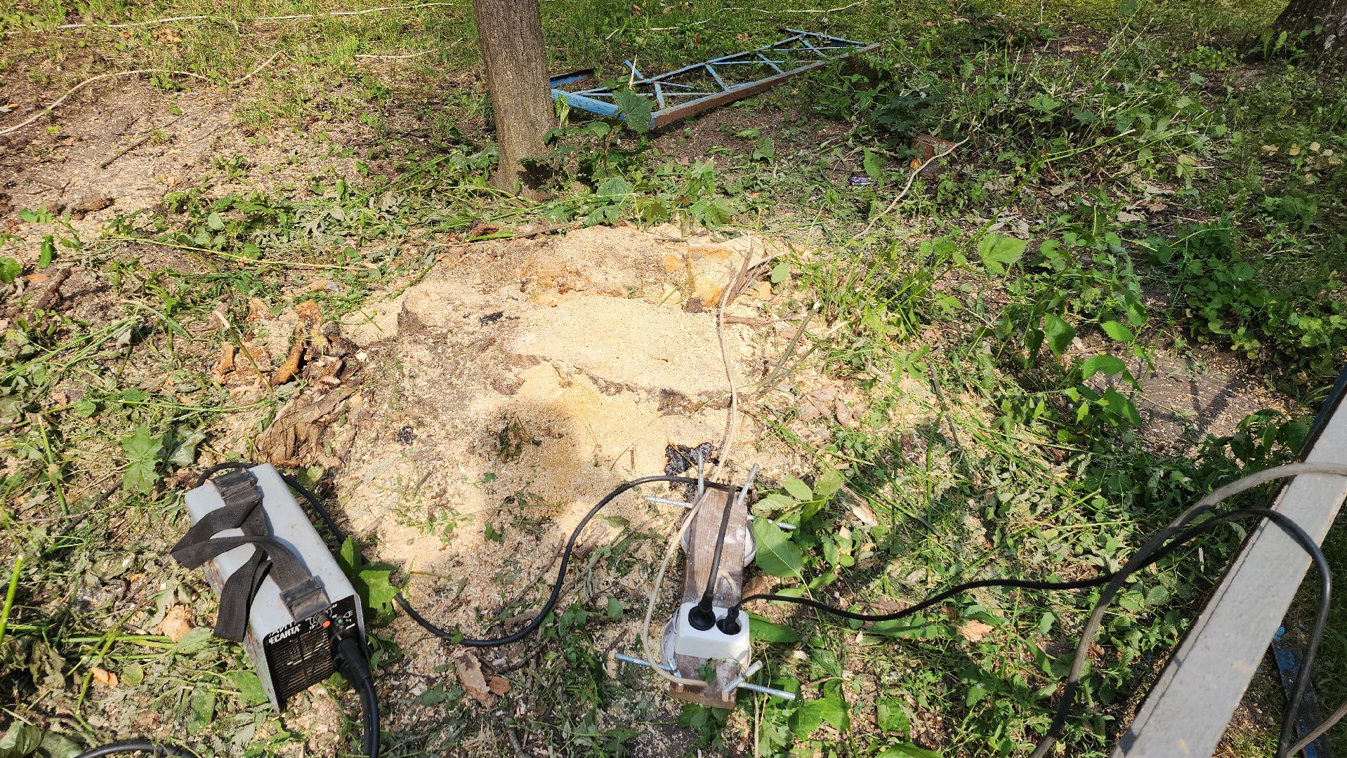 пушкино, благоустройство, дворовые территории, аварийность, деревья, ограждение,