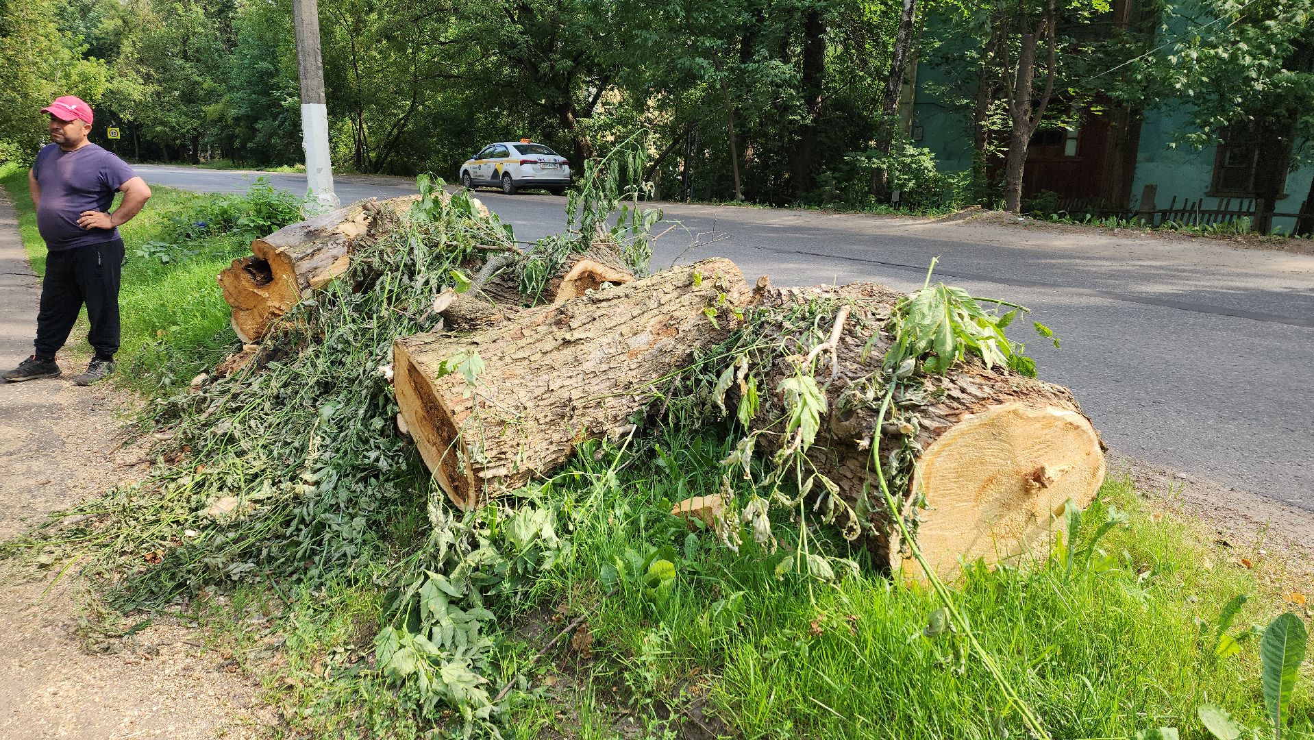пушкино, благоустройство, дворовые территории, аварийность, деревья, ограждение,