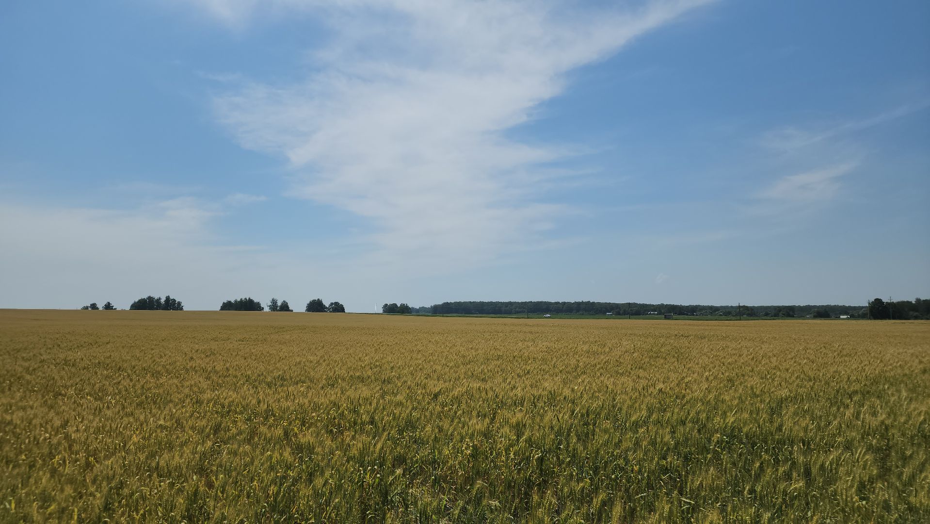 ступино, образование подмосковья, сельское хозяйство, агроклассы,