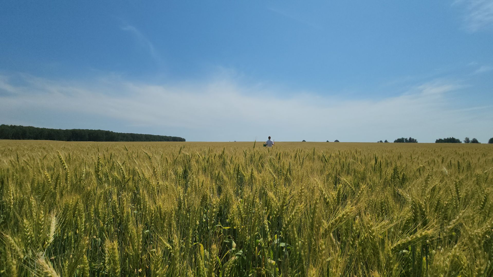 ступино, образование подмосковья, сельское хозяйство, агроклассы,