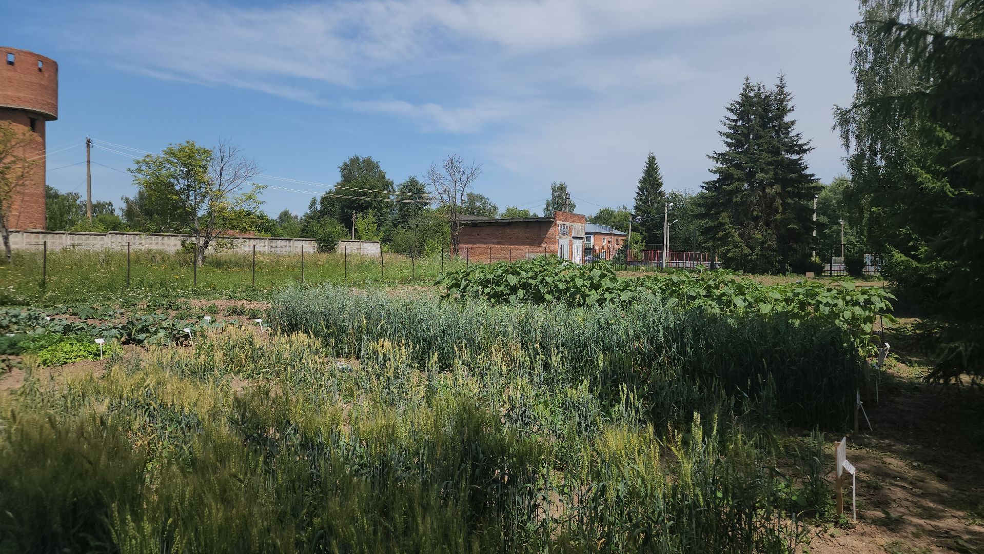 ступино, образование подмосковья, сельское хозяйство, агроклассы,