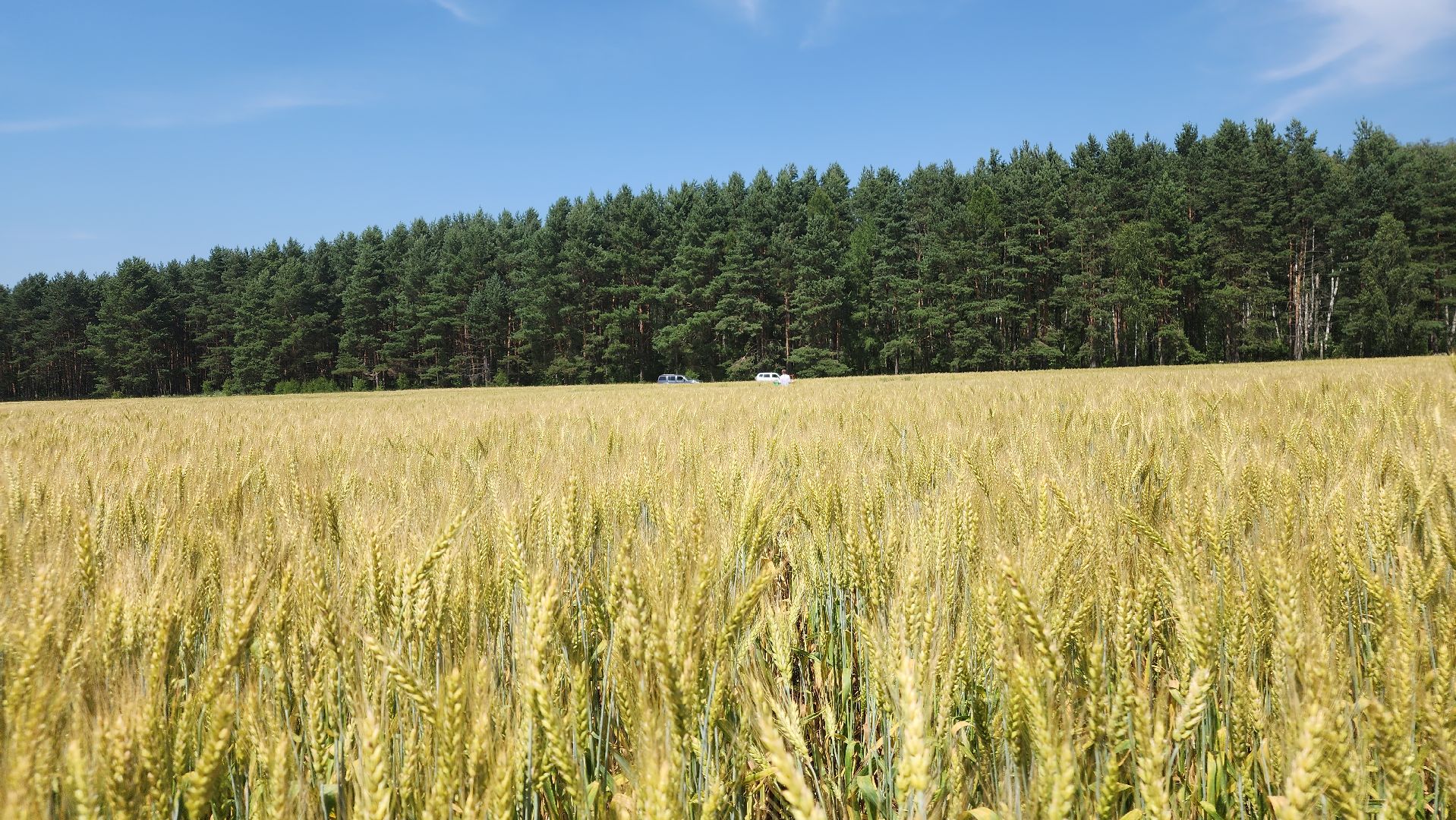ступино, образование подмосковья, сельское хозяйство, агроклассы,