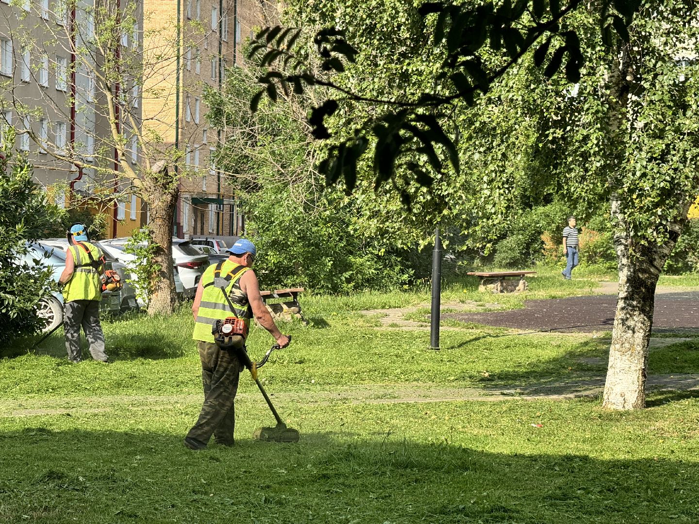 шаховская, покос травы, коммунальная служба,