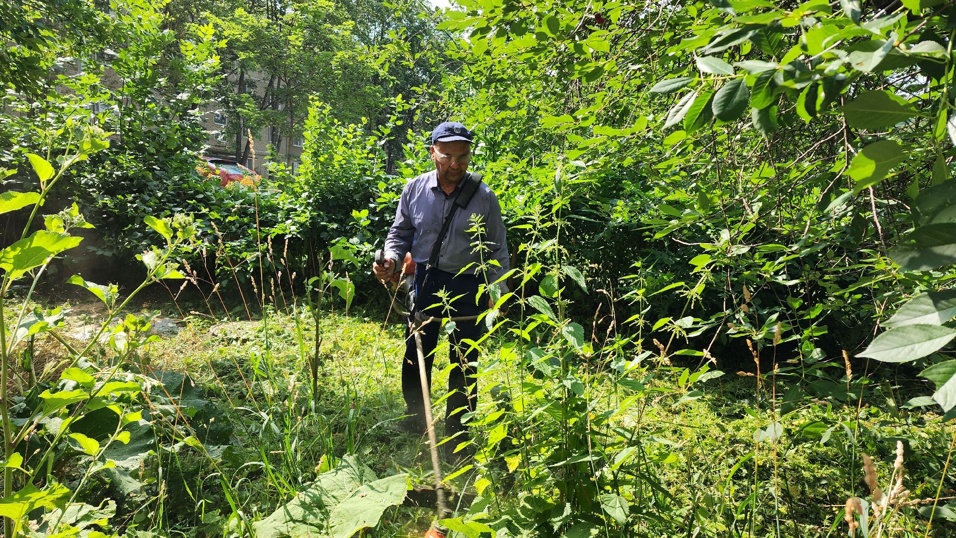покос травы, благоуйстройство, Лобня,