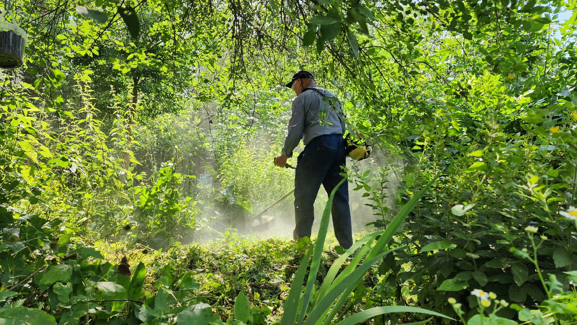 покос травы, благоуйстройство, Лобня,