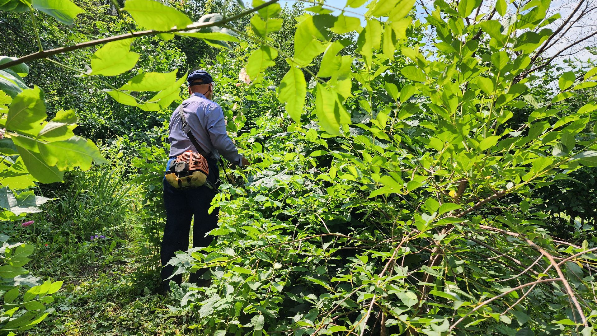 покос травы, благоуйстройство, Лобня,