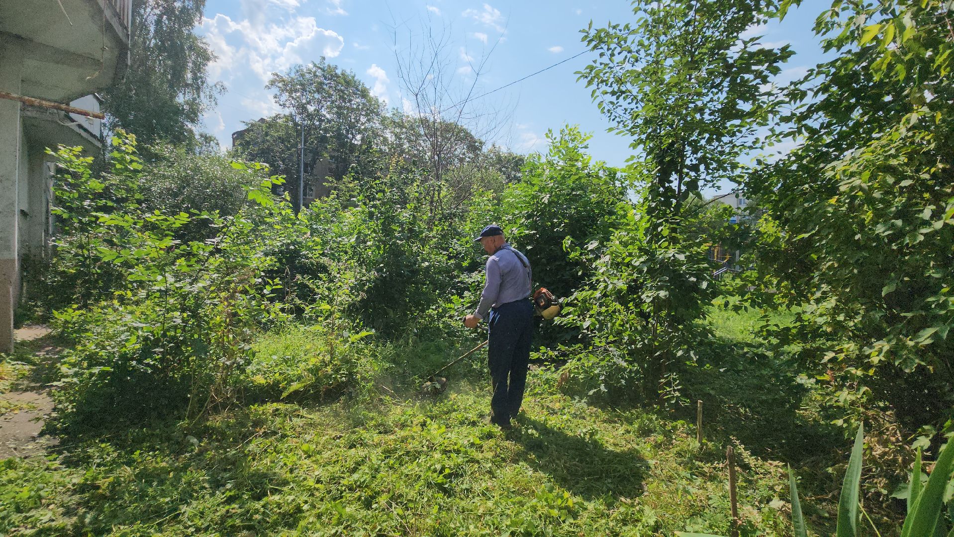 покос травы, благоуйстройство, Лобня,