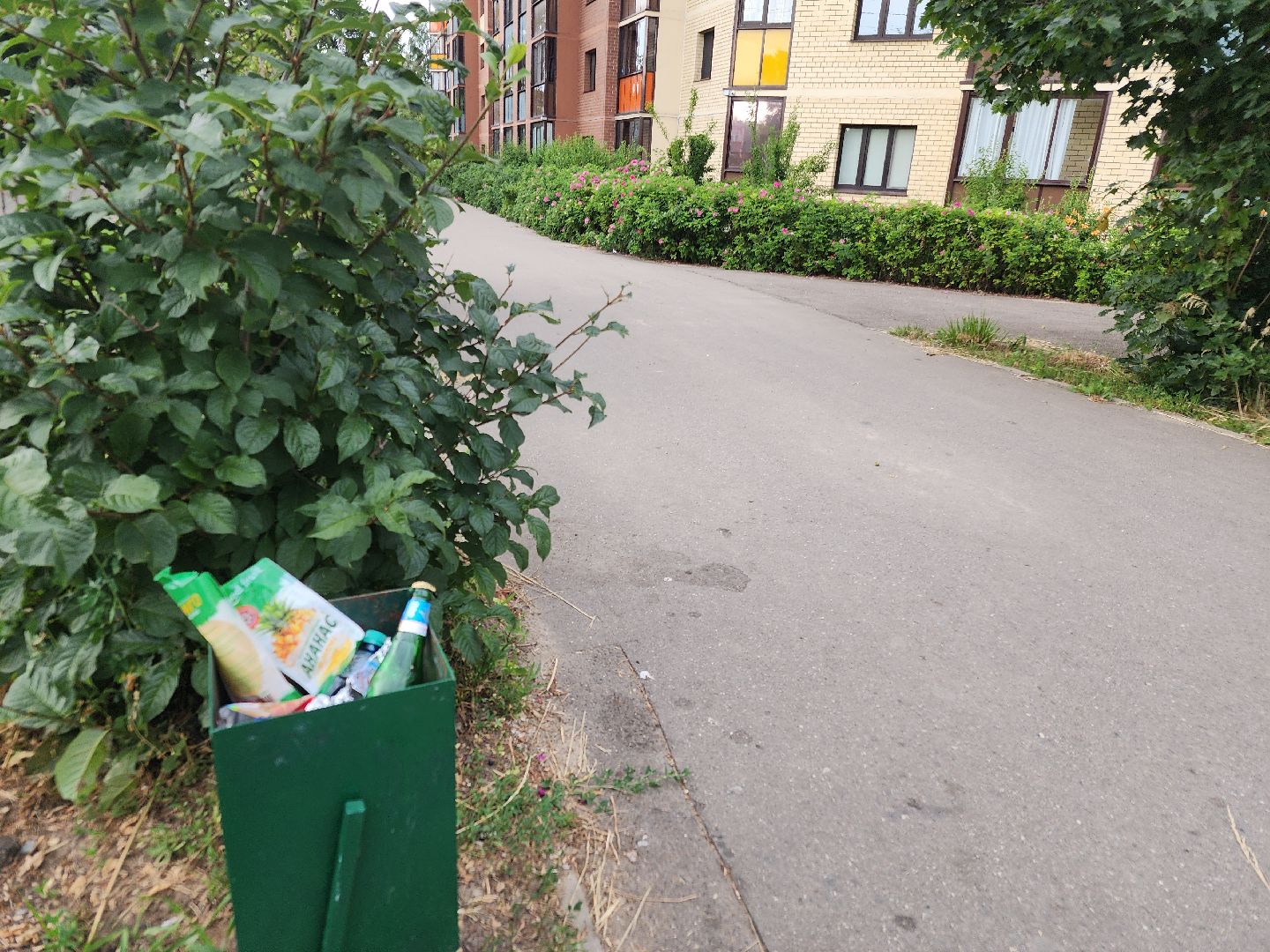 выездная администрация, орехово зуево,