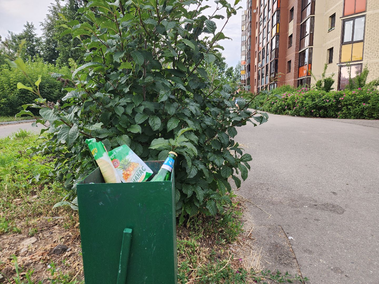 выездная администрация, орехово зуево,