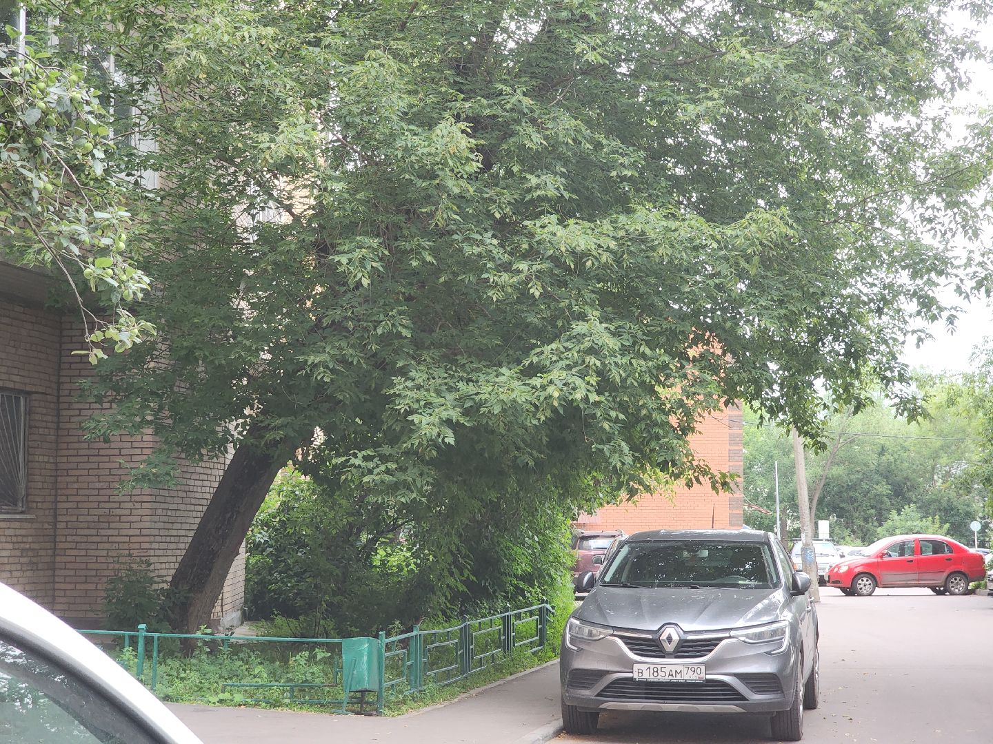 выездная администрация, орехово зуево,