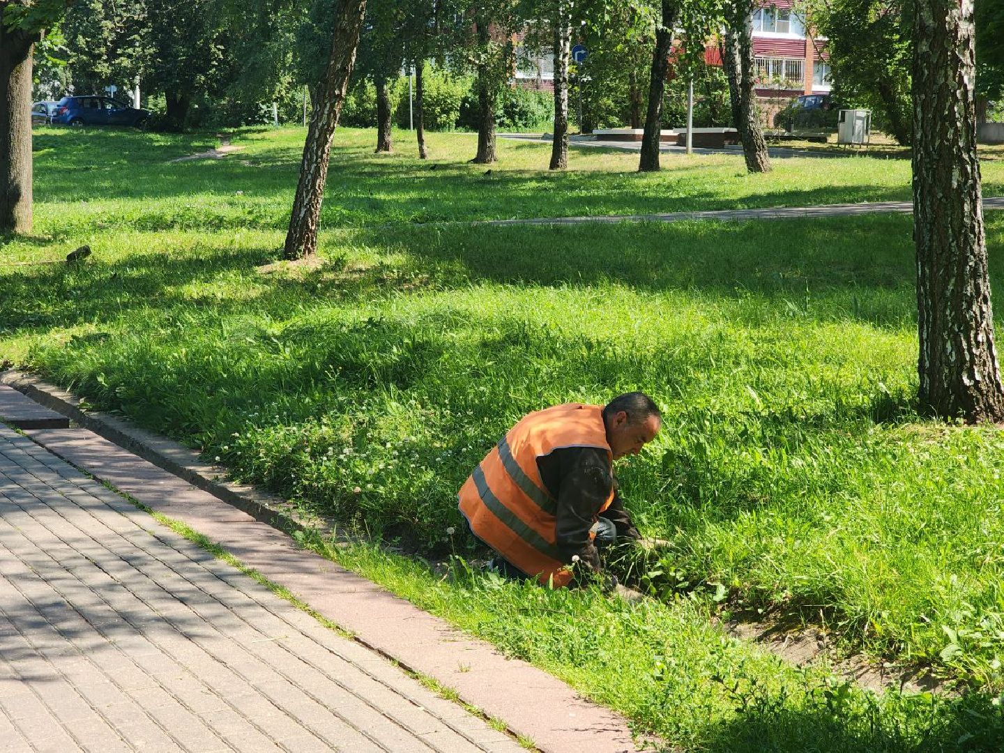 пущино, серпухов, благоустройство,