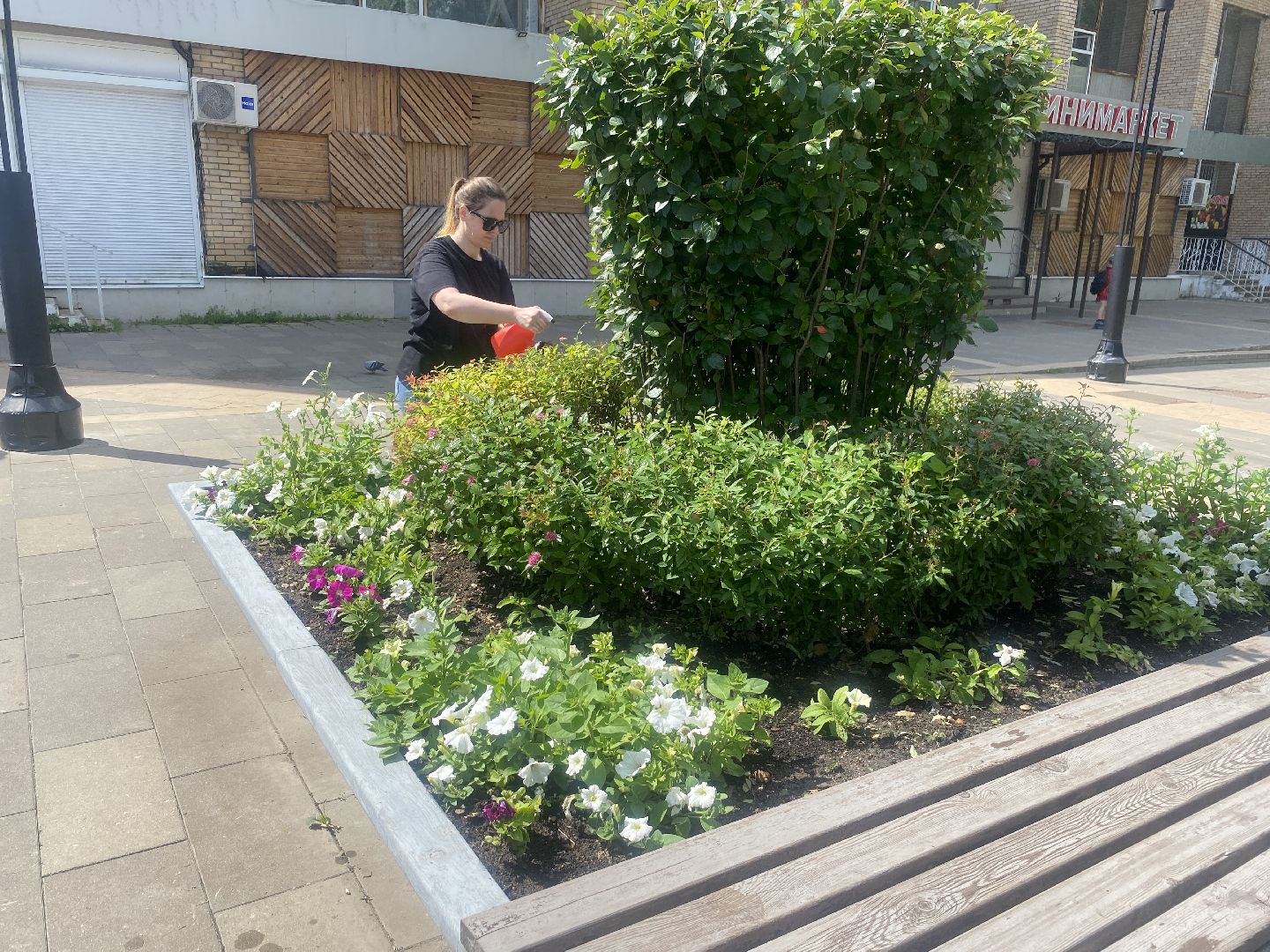 благоустройство территории, Власиха Цветной бульвар, обращения жителей власихи, Обходы территорий, Контроль выполнения работ,