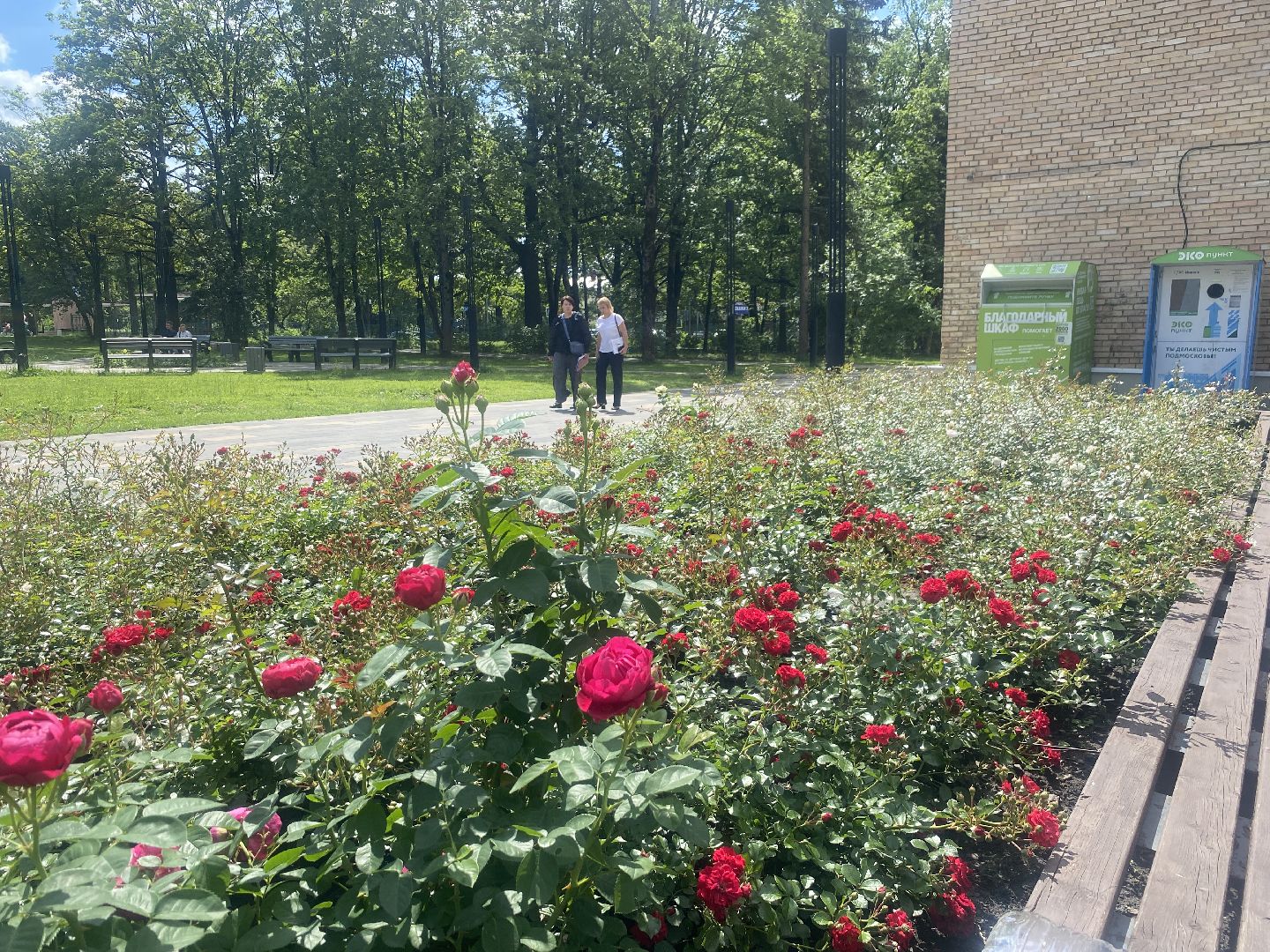 благоустройство территории, Власиха Цветной бульвар, обращения жителей власихи, Обходы территорий, Контроль выполнения работ,