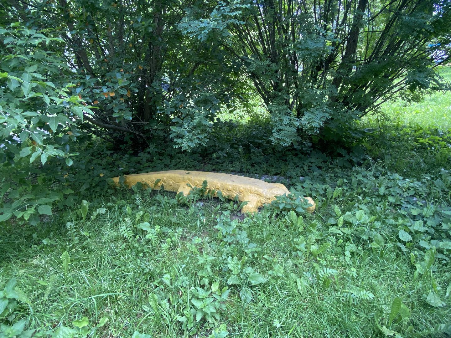 благоустройство территории, Власиха Цветной бульвар, обращения жителей власихи, Обходы территорий, Контроль выполнения работ,