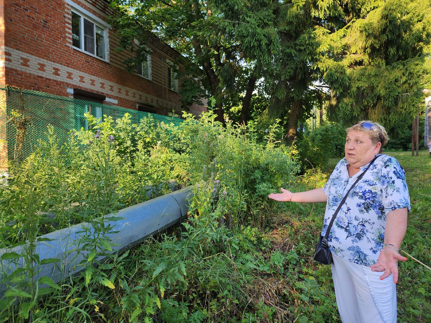 Чехов, Чепелево, выездная администрация, опиловка деревьев, окос травы, капремонт дома,