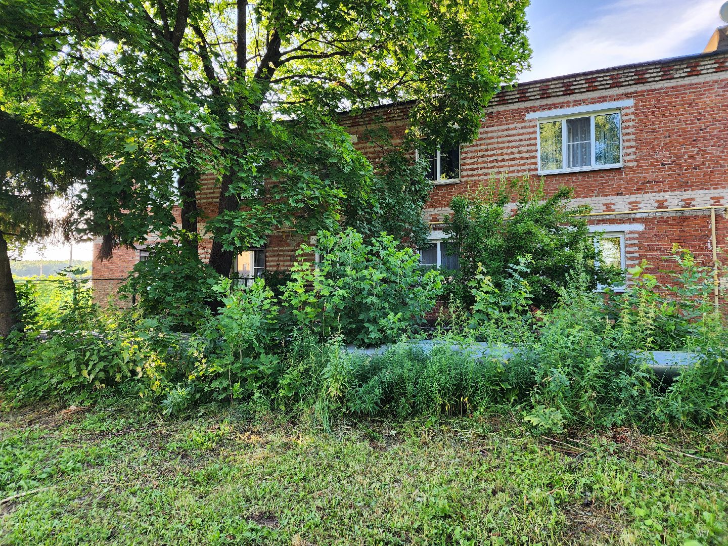 Чехов, Чепелево, выездная администрация, опиловка деревьев, окос травы, капремонт дома,