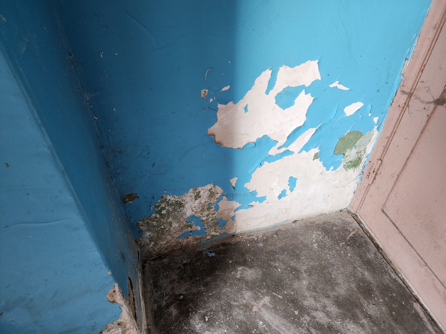 Чехов, Чепелево, выездная администрация, опиловка деревьев, окос травы, капремонт дома,