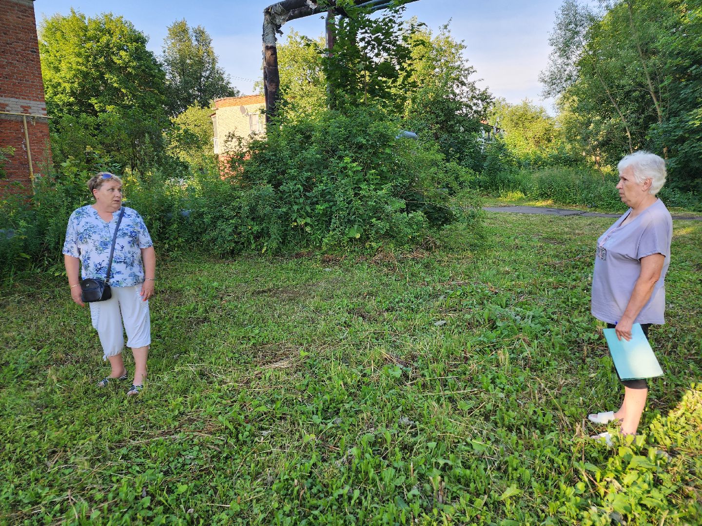 Чехов, Чепелево, выездная администрация, опиловка деревьев, окос травы, капремонт дома,