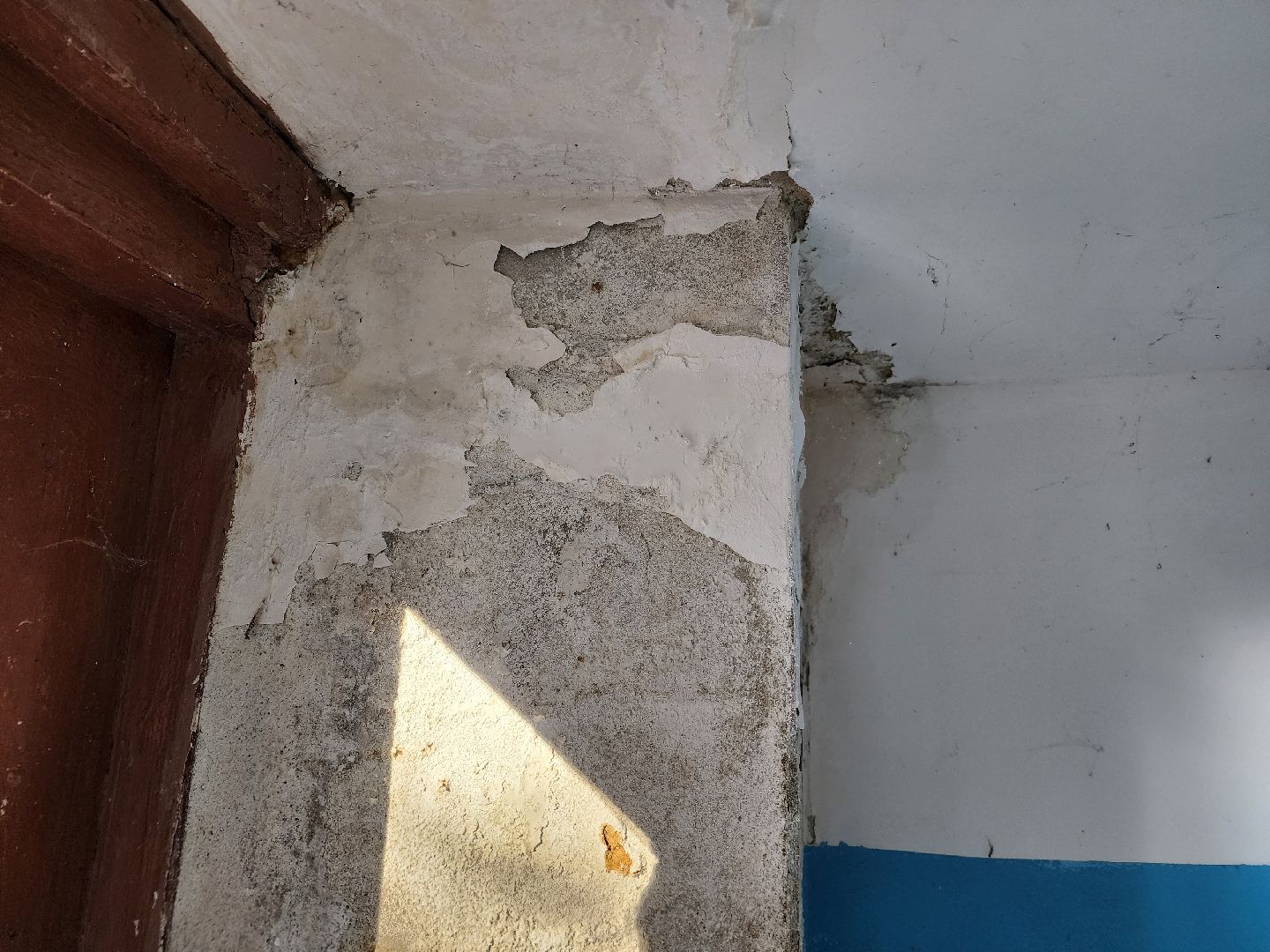 Чехов, Чепелево, выездная администрация, опиловка деревьев, окос травы, капремонт дома,