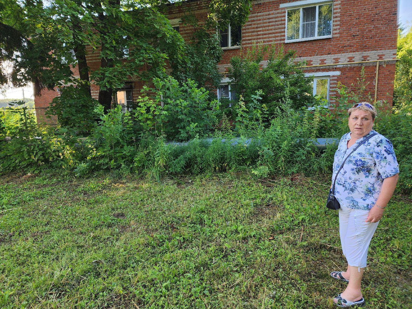 Чехов, Чепелево, выездная администрация, опиловка деревьев, окос травы, капремонт дома,