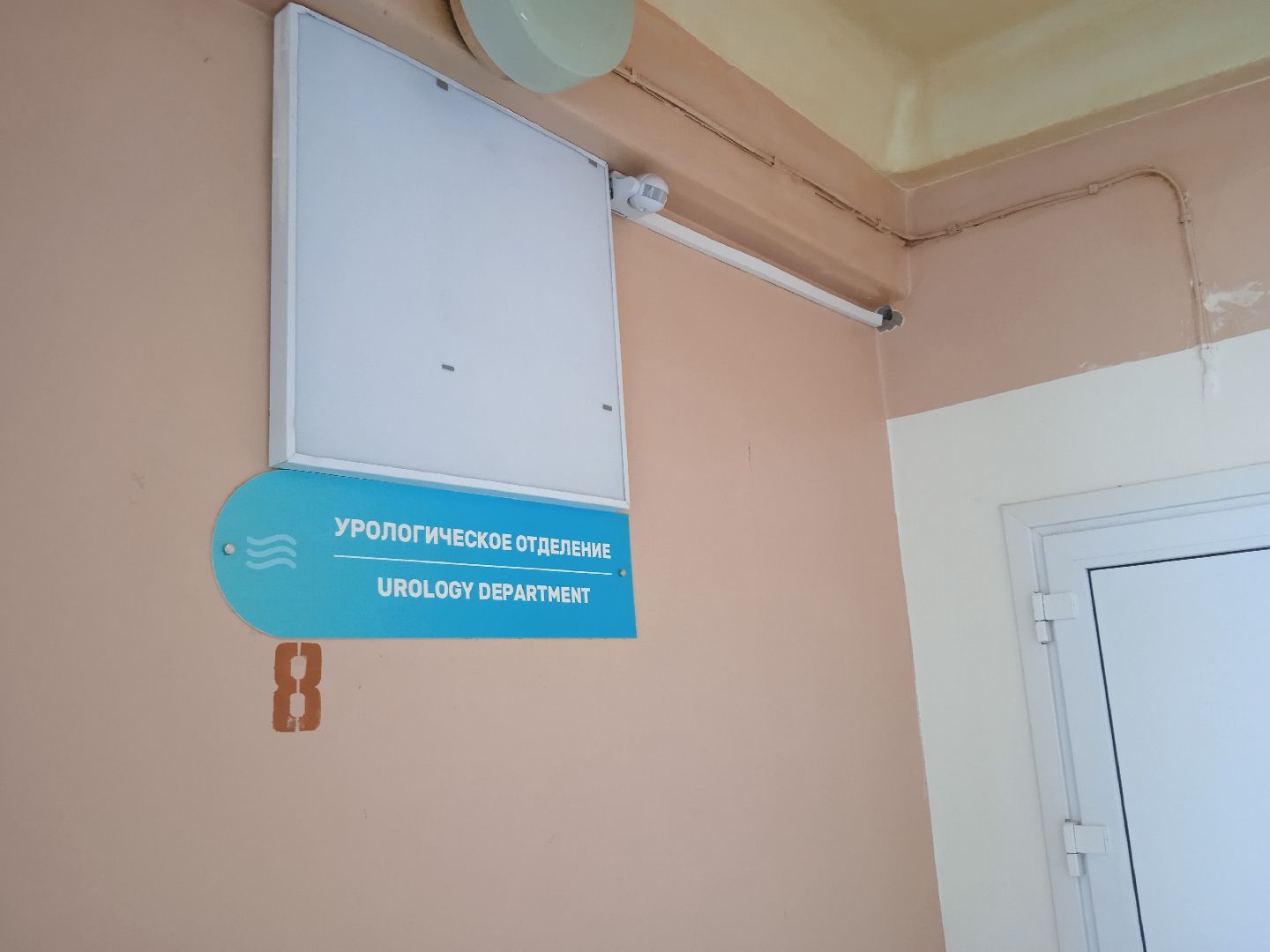 конференция, урология, онлайн, ГКБ