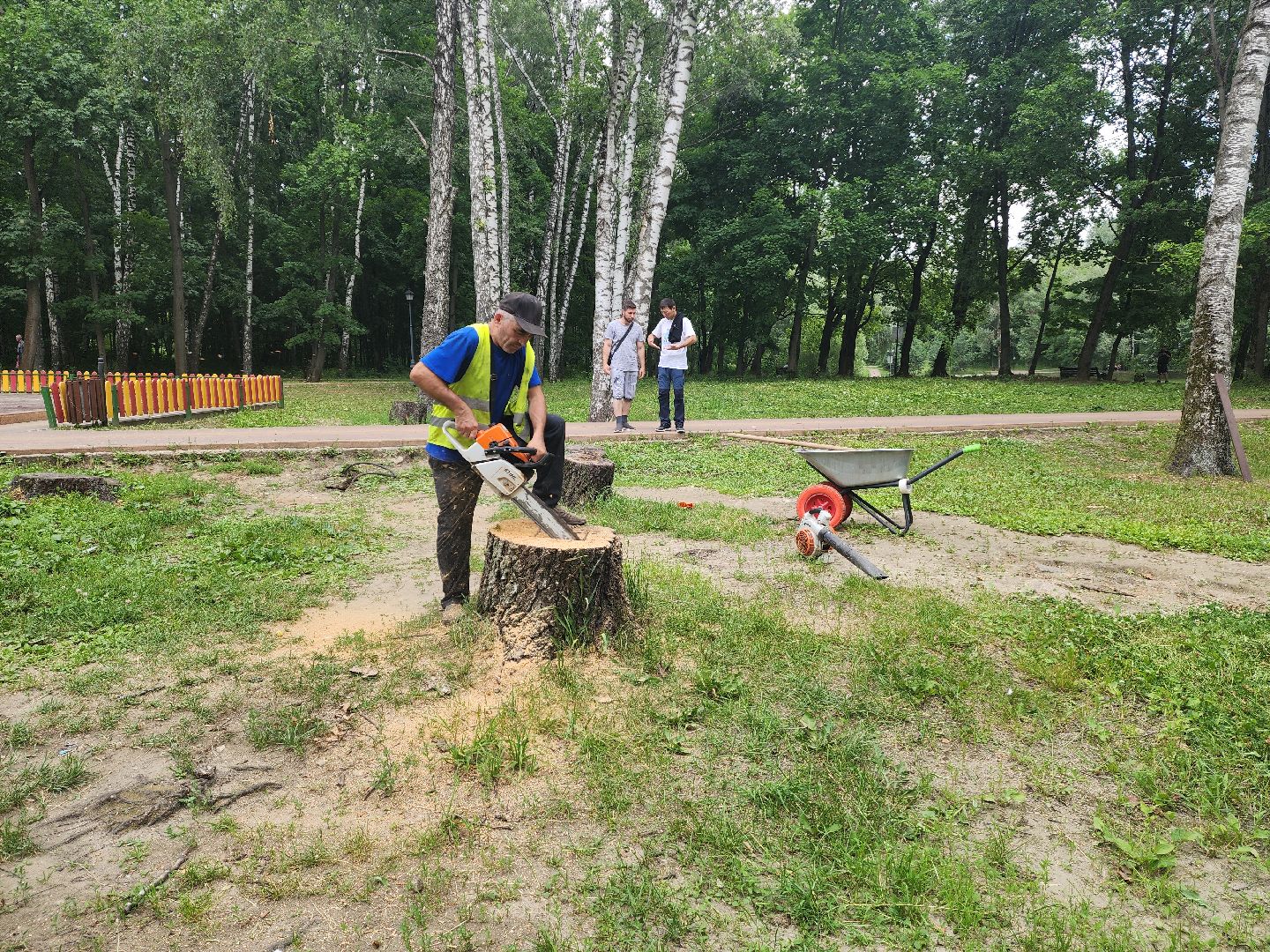 красногорск, благоуйстройство, парки красногорска, клумбы,