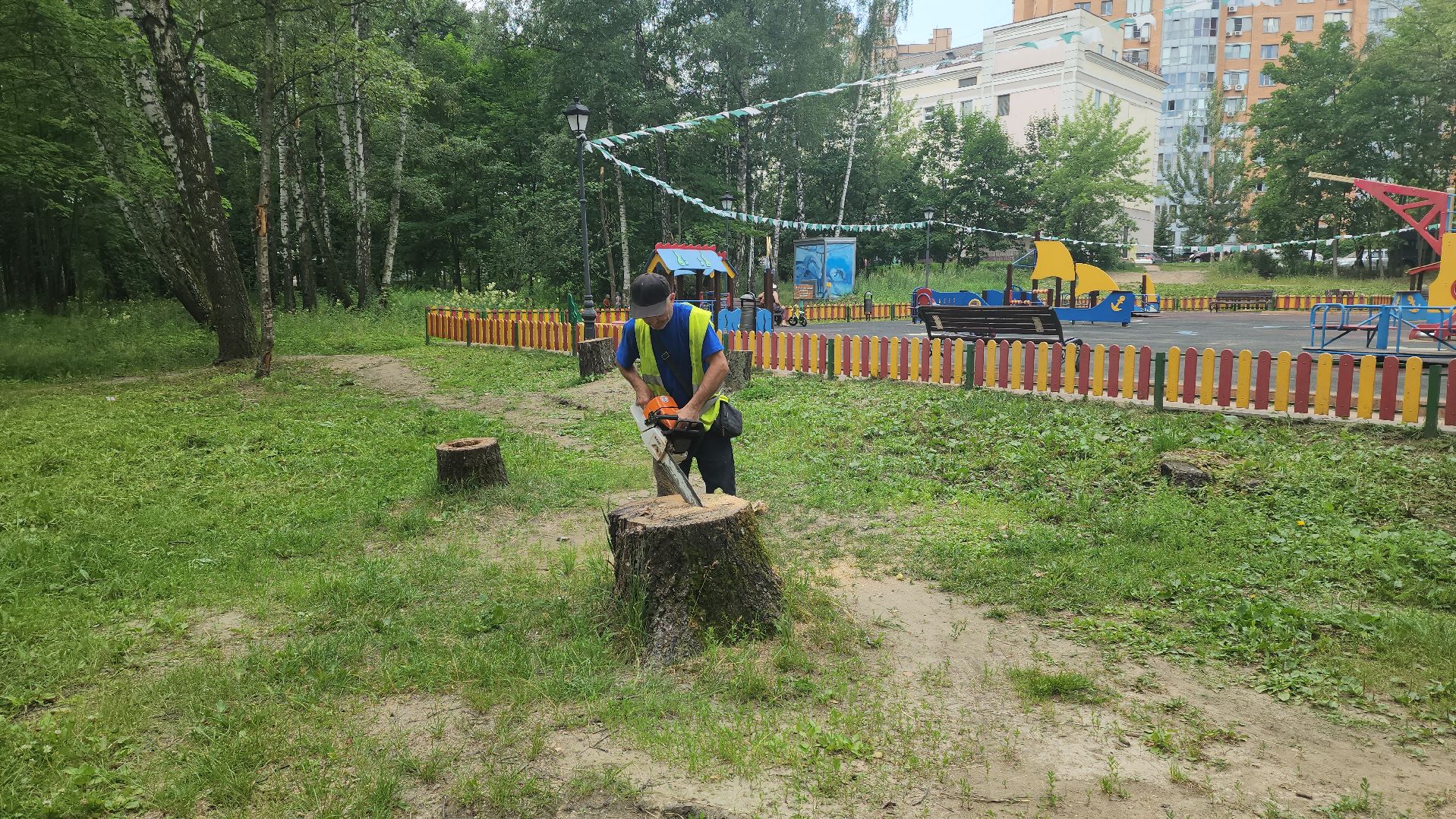 красногорск, благоуйстройство, парки красногорска, клумбы,