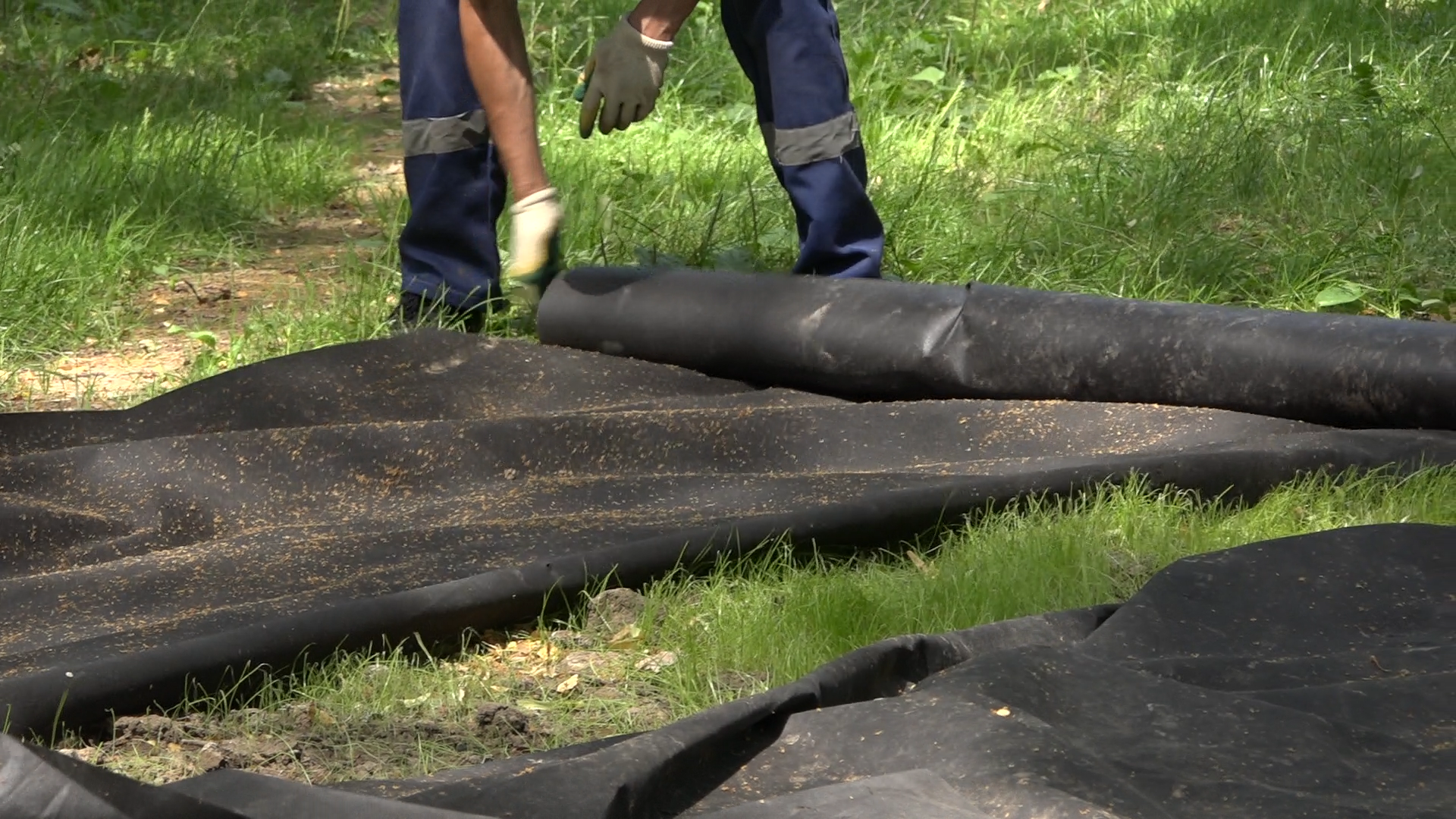 благоустройство территории, народная тропа, власиха благоустройство, парковая зона Власиха, МБК ЖКХ и благоустройство,