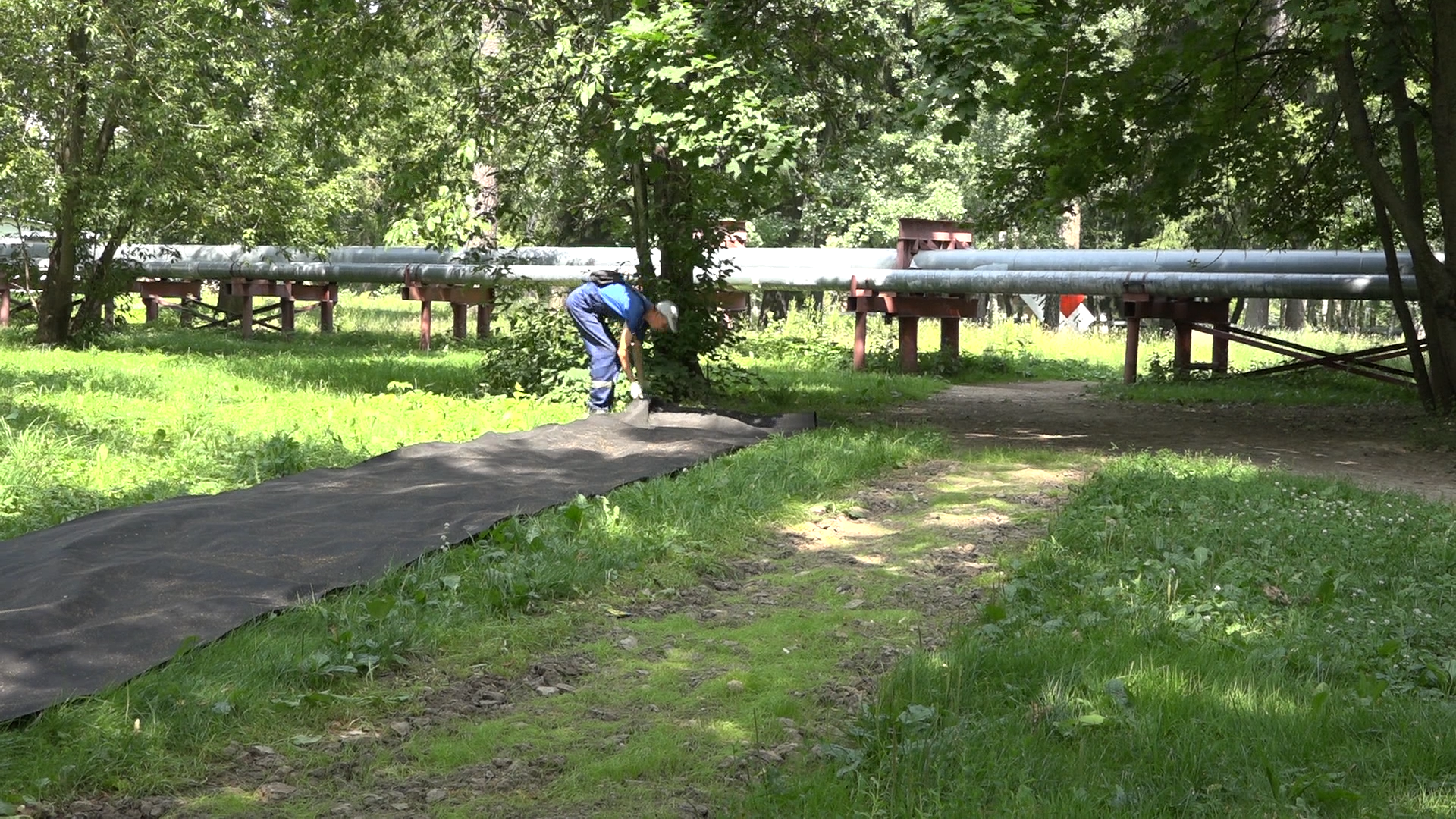 благоустройство территории, народная тропа, власиха благоустройство, парковая зона Власиха, МБК ЖКХ и благоустройство,