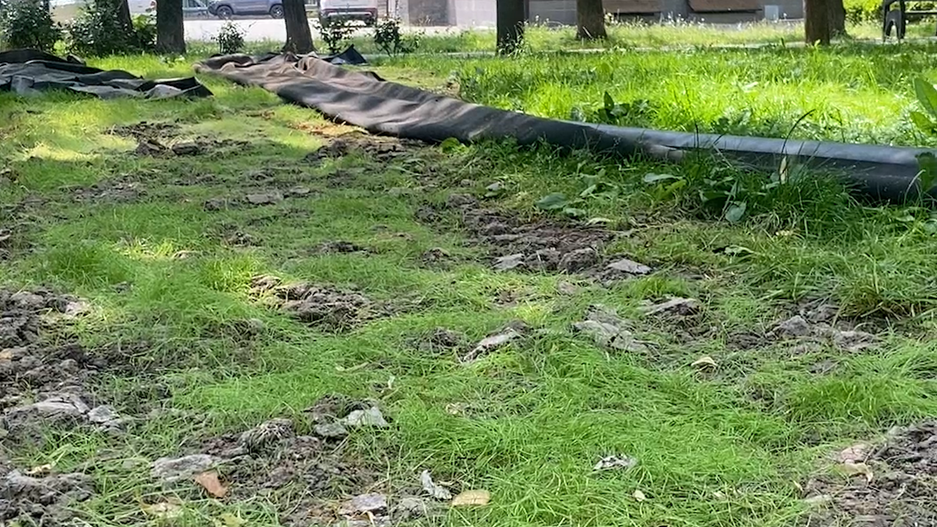 благоустройство территории, народная тропа, власиха благоустройство, парковая зона Власиха, МБК ЖКХ и благоустройство,