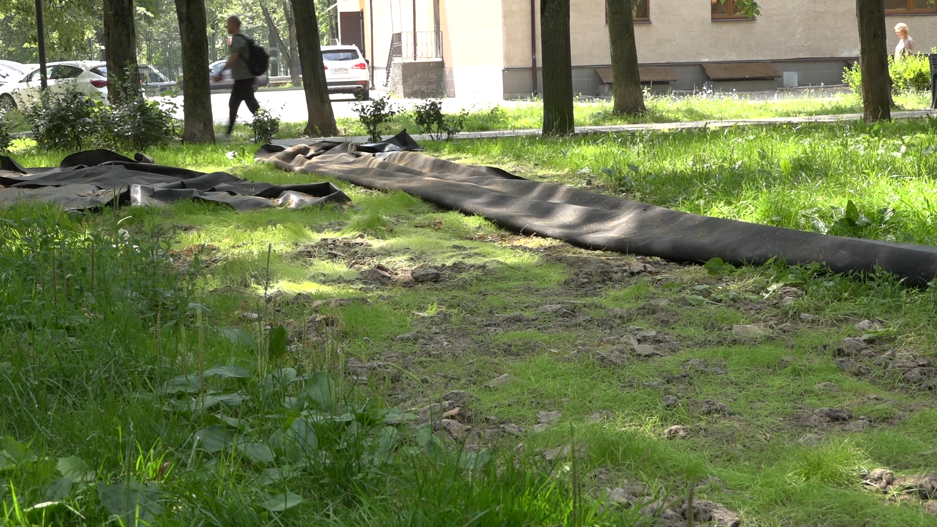 благоустройство территории, народная тропа, власиха благоустройство, парковая зона Власиха, МБК ЖКХ и благоустройство,