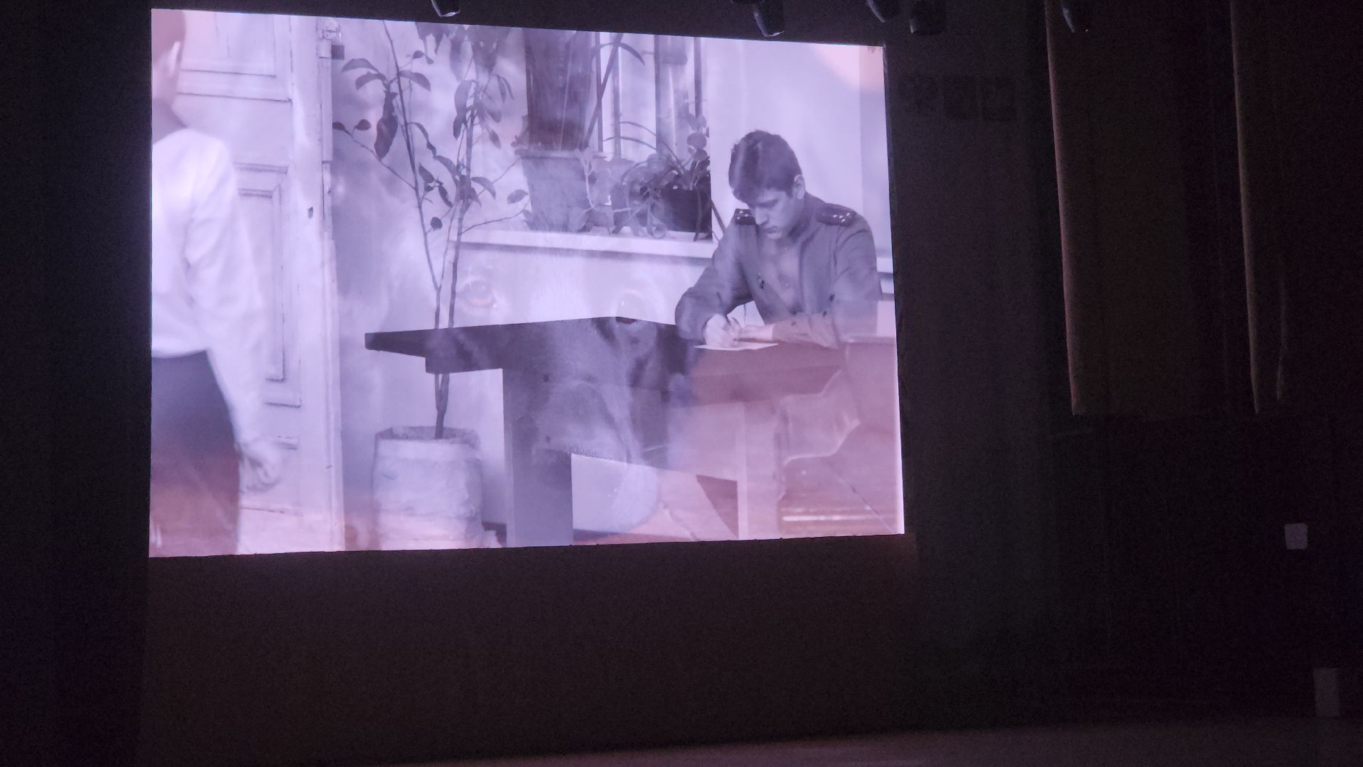 долгопрудный, кинологи, дк вперед, x-легион, фронтовая собака, короткометражный фильм,