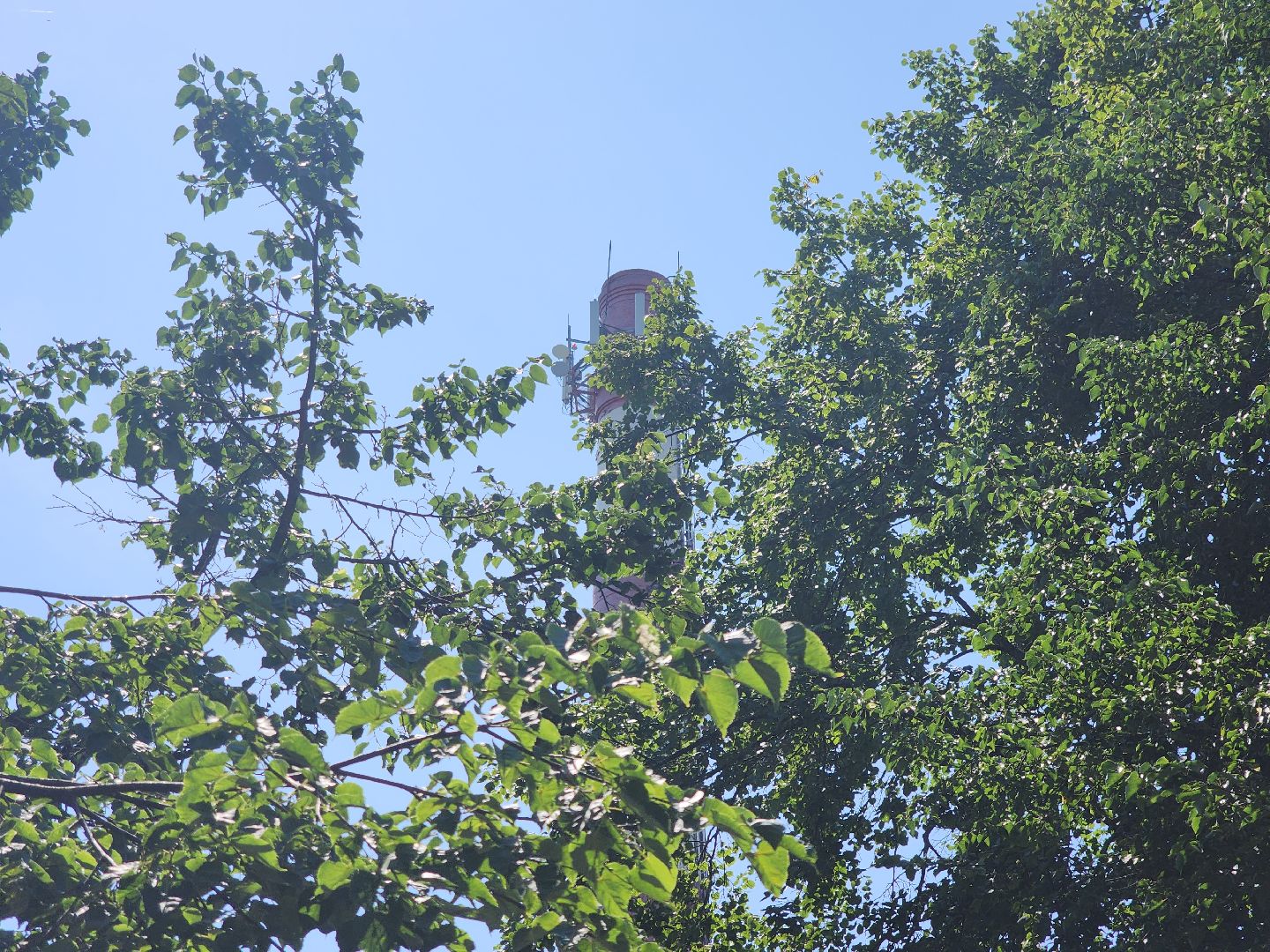 Черноголовка, Теплотрасса, Благоустройство, жкх,