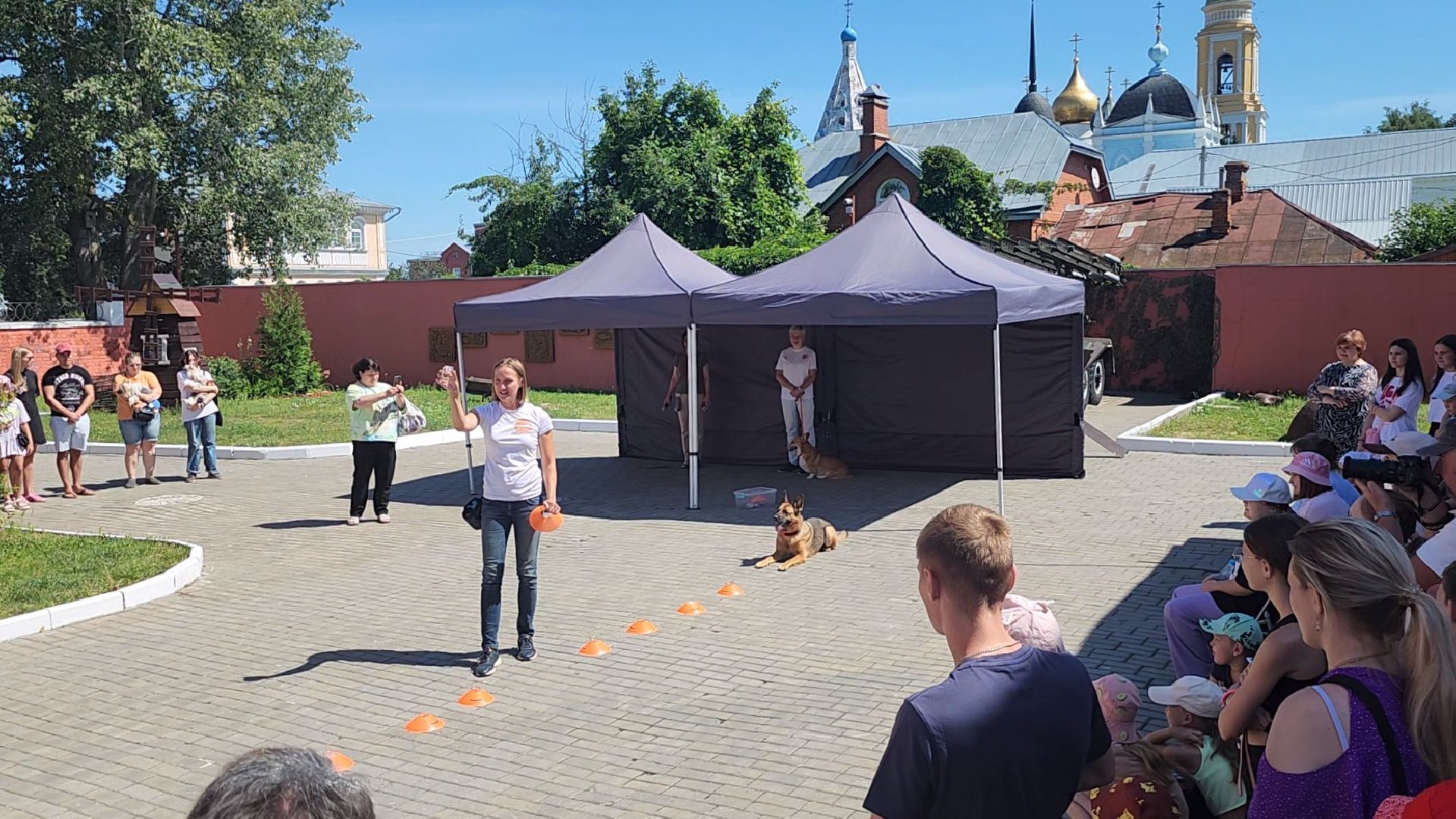 Коломна, день семьи любви и верности, семейный праздник, помощь бездомным животным,